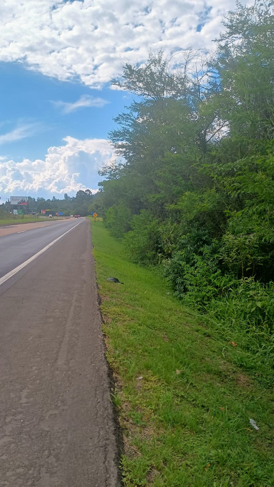 Excelente terreno comercial em Portão (RS-122)