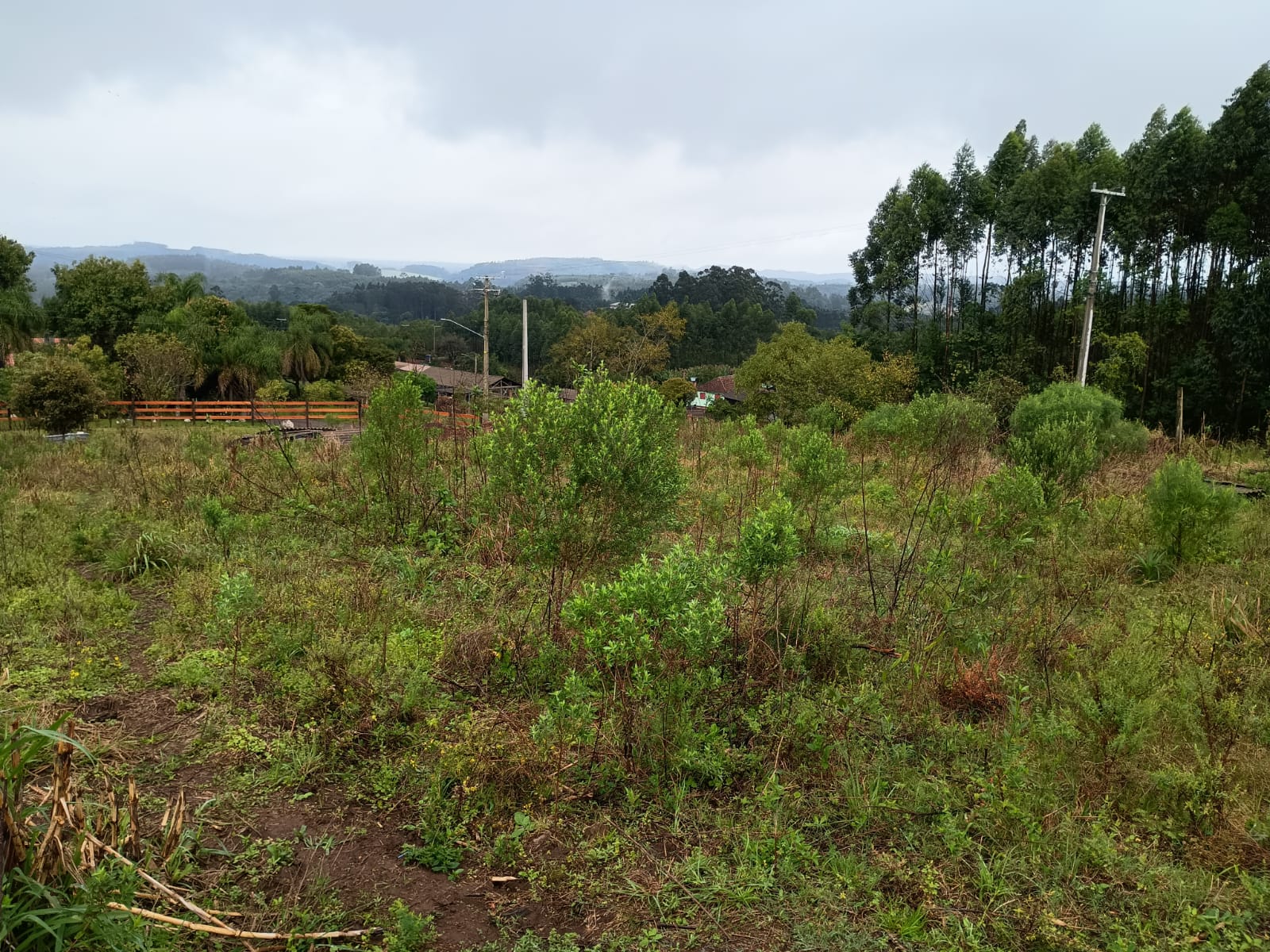 Terreno em Portão