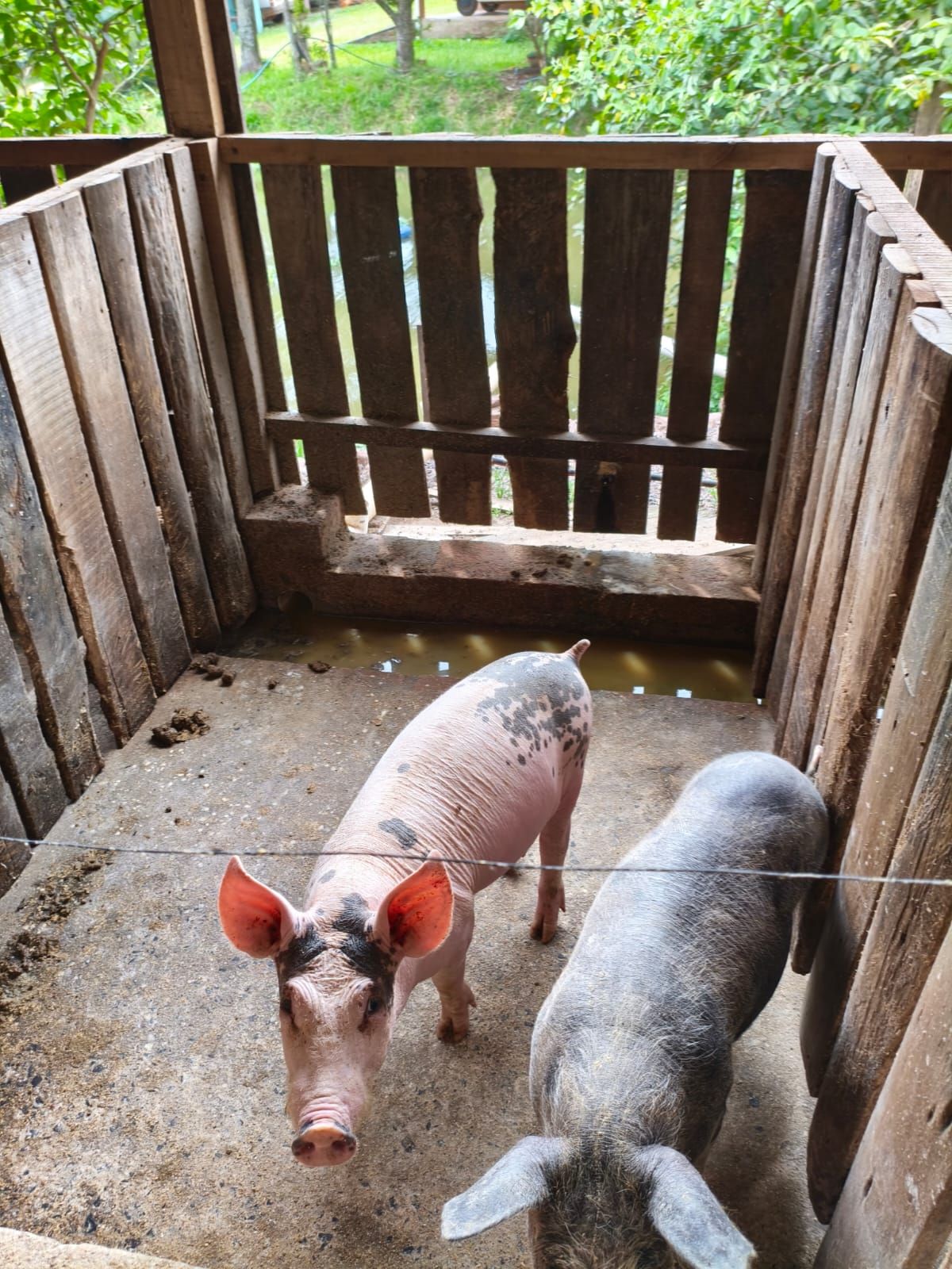 Chácara em São Sebastião do Caí