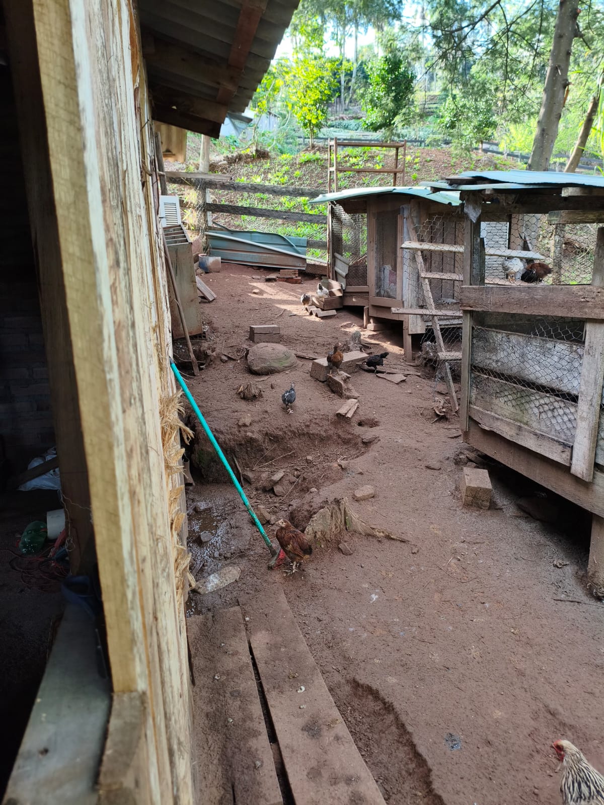 Chácara com duas casas em Estância Velha