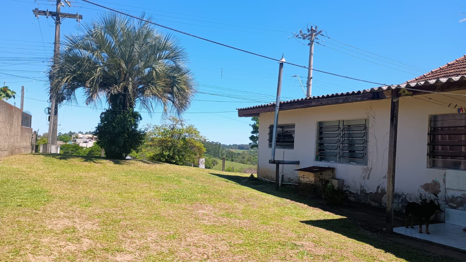 Terreno com casa e galpão em Capela de Santana