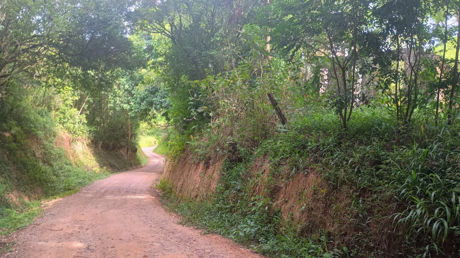 Excelente terreno comercial em Portão (RS-122)