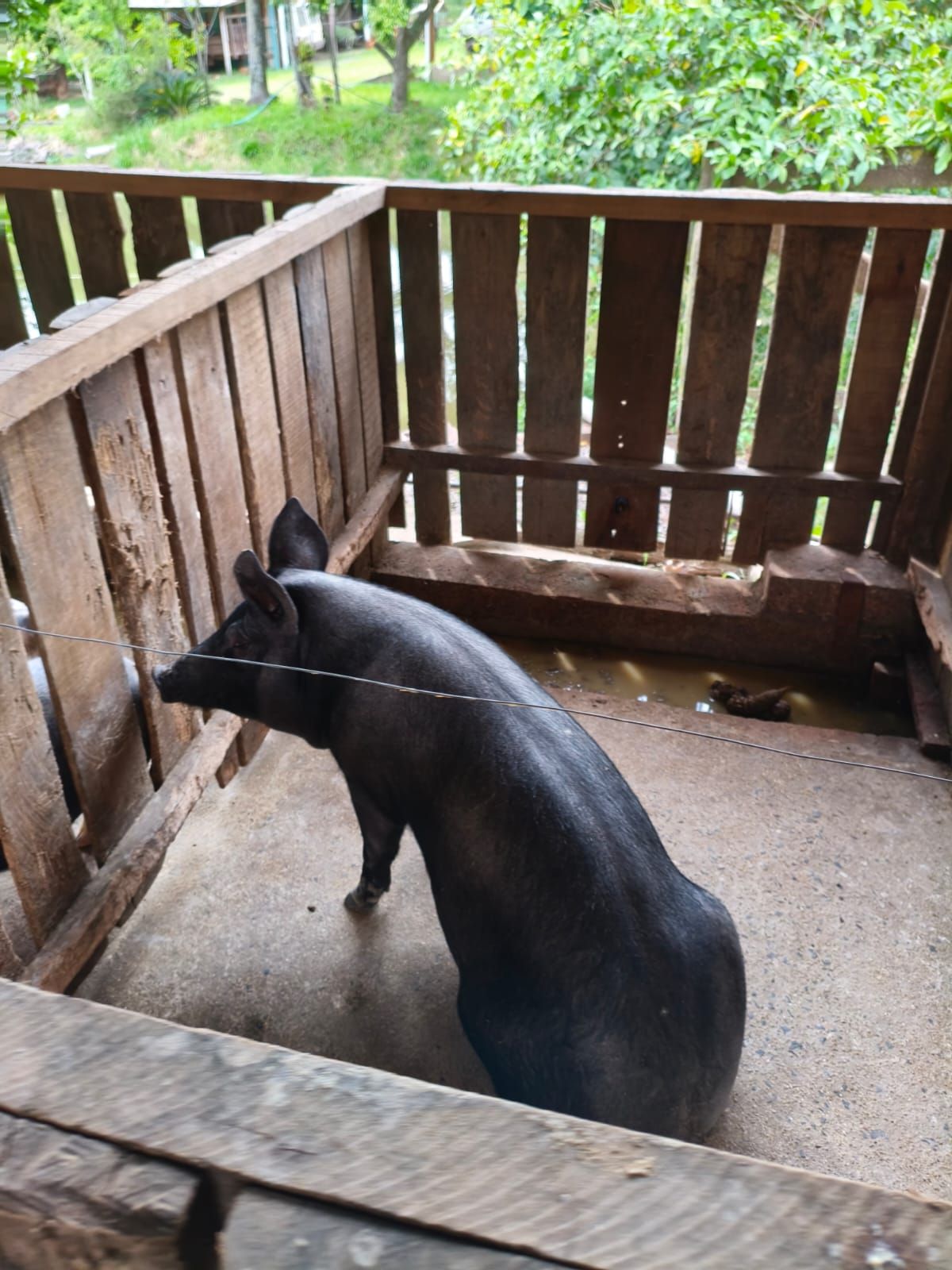 Chácara em São Sebastião do Caí