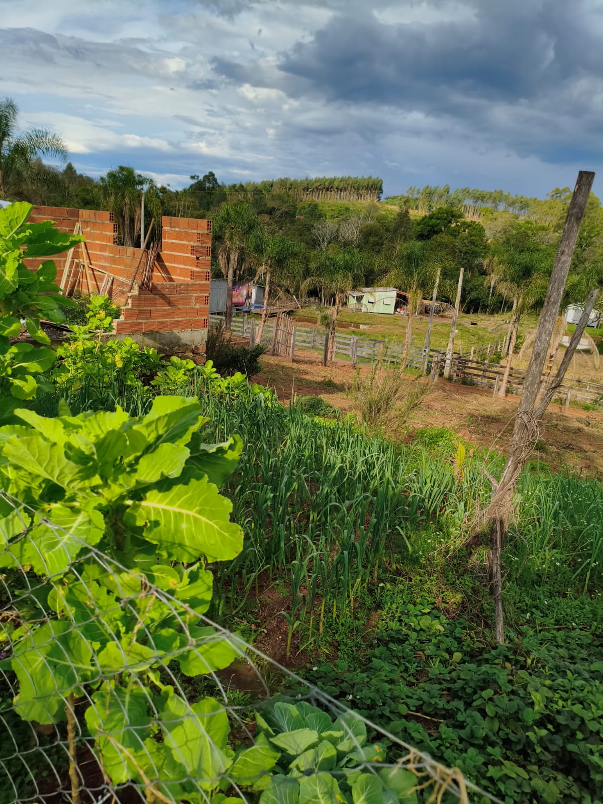 Chácara com duas casas em Estância Velha