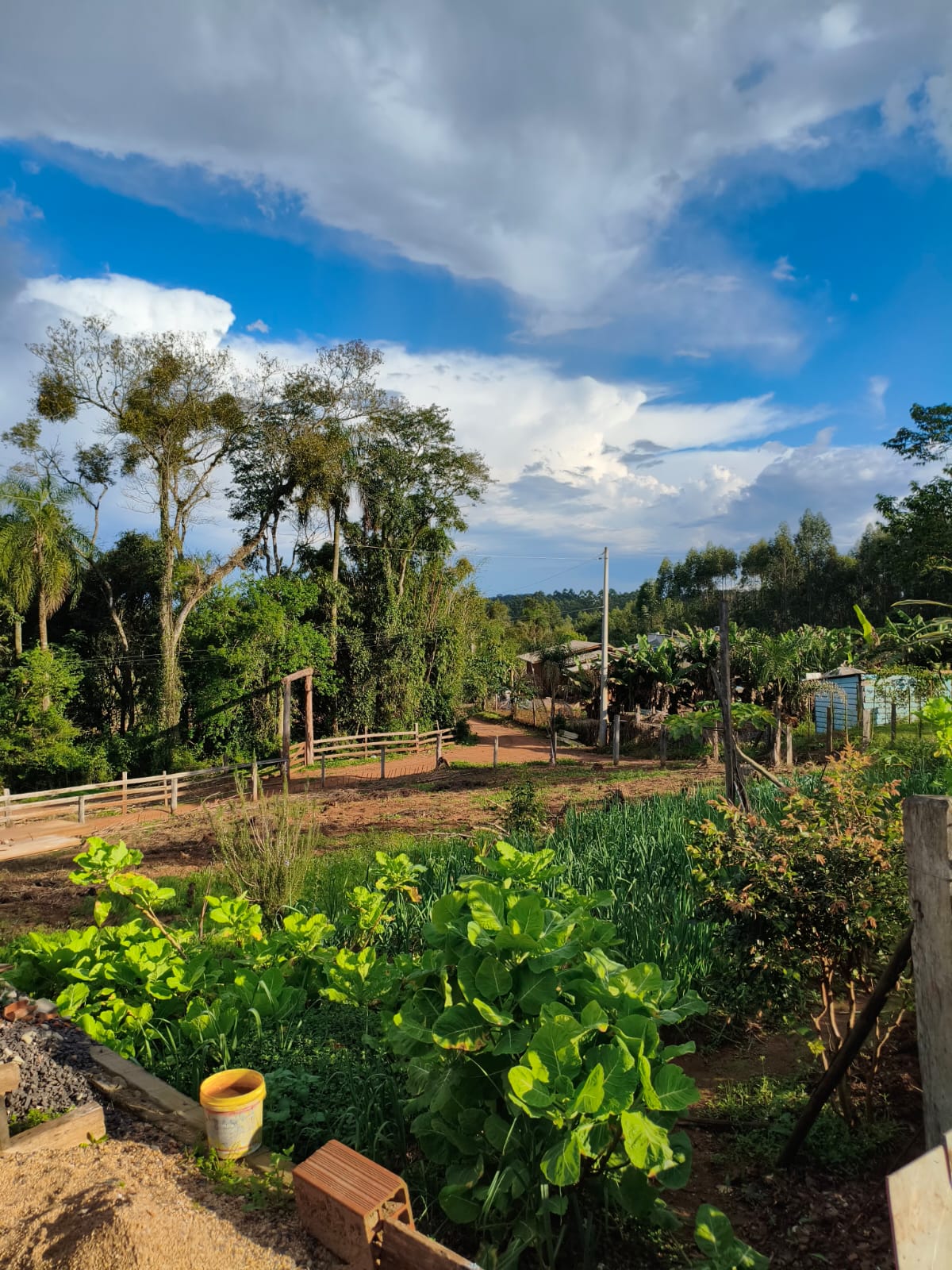 Chácara com duas casas em Estância Velha