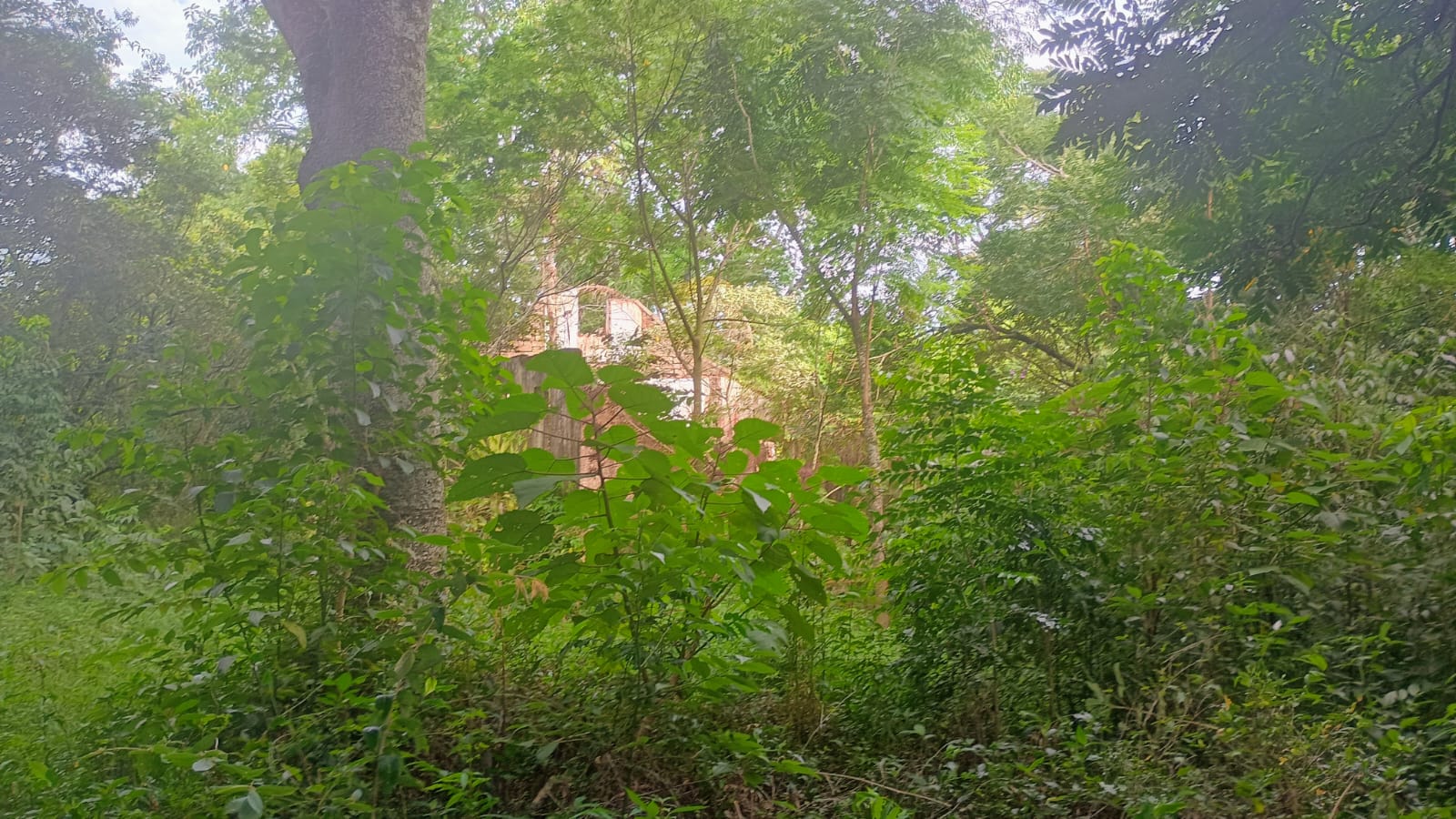 Excelente terreno comercial em Portão (RS-122)
