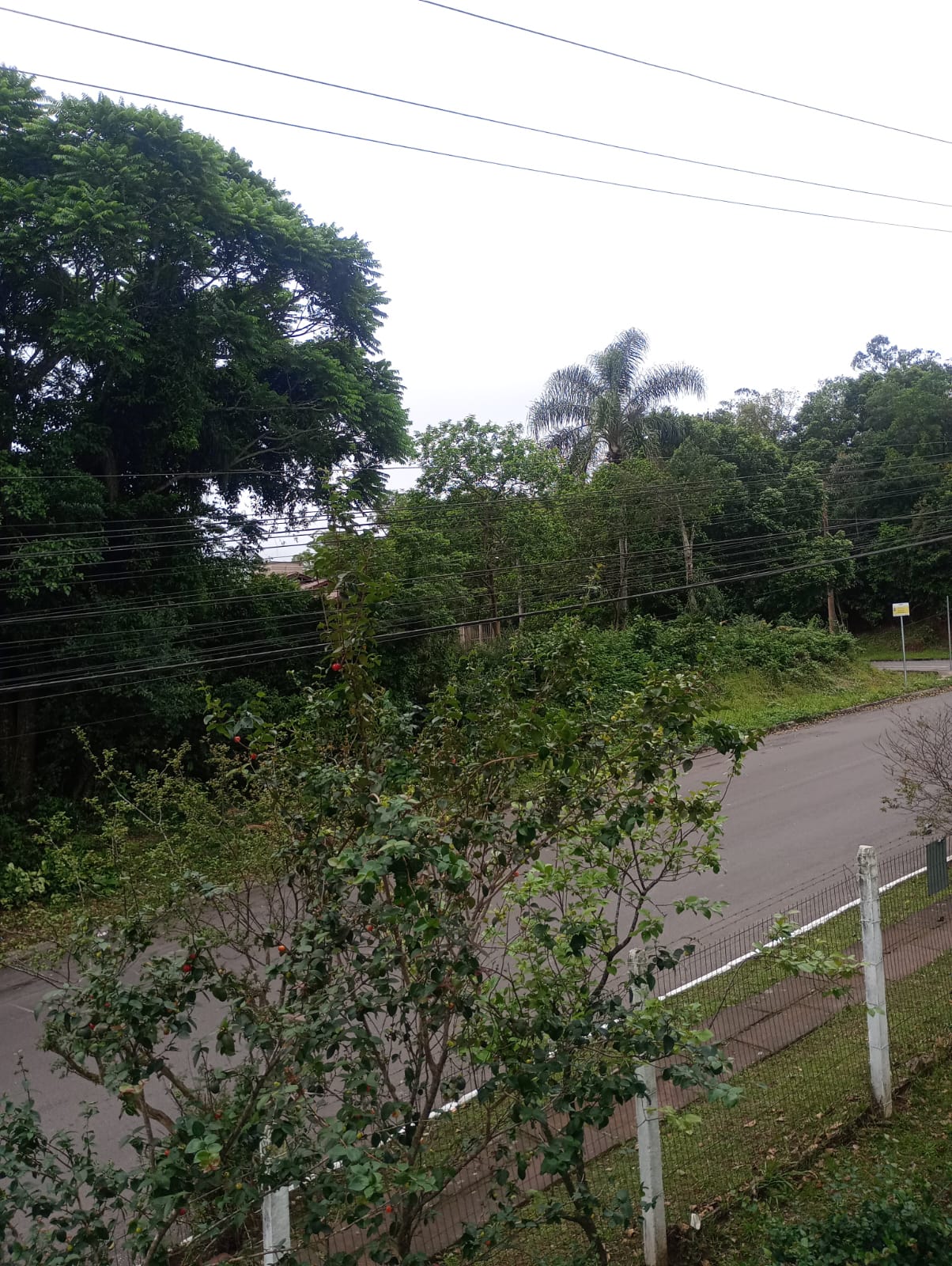Apartamento em Sapiranga