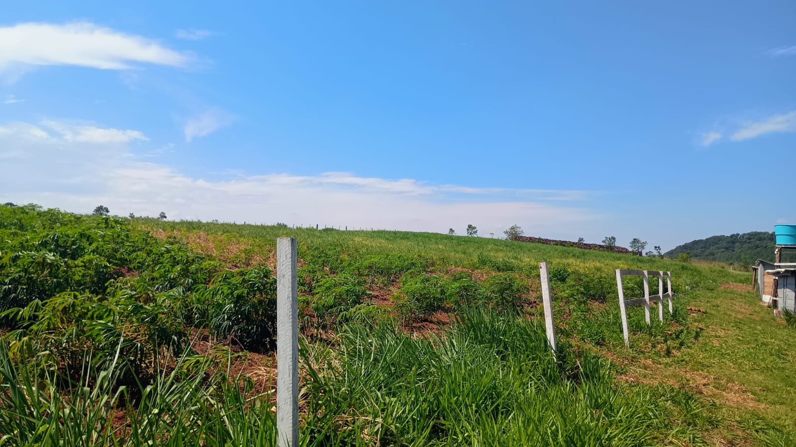 Área de terra em Capela de Santana