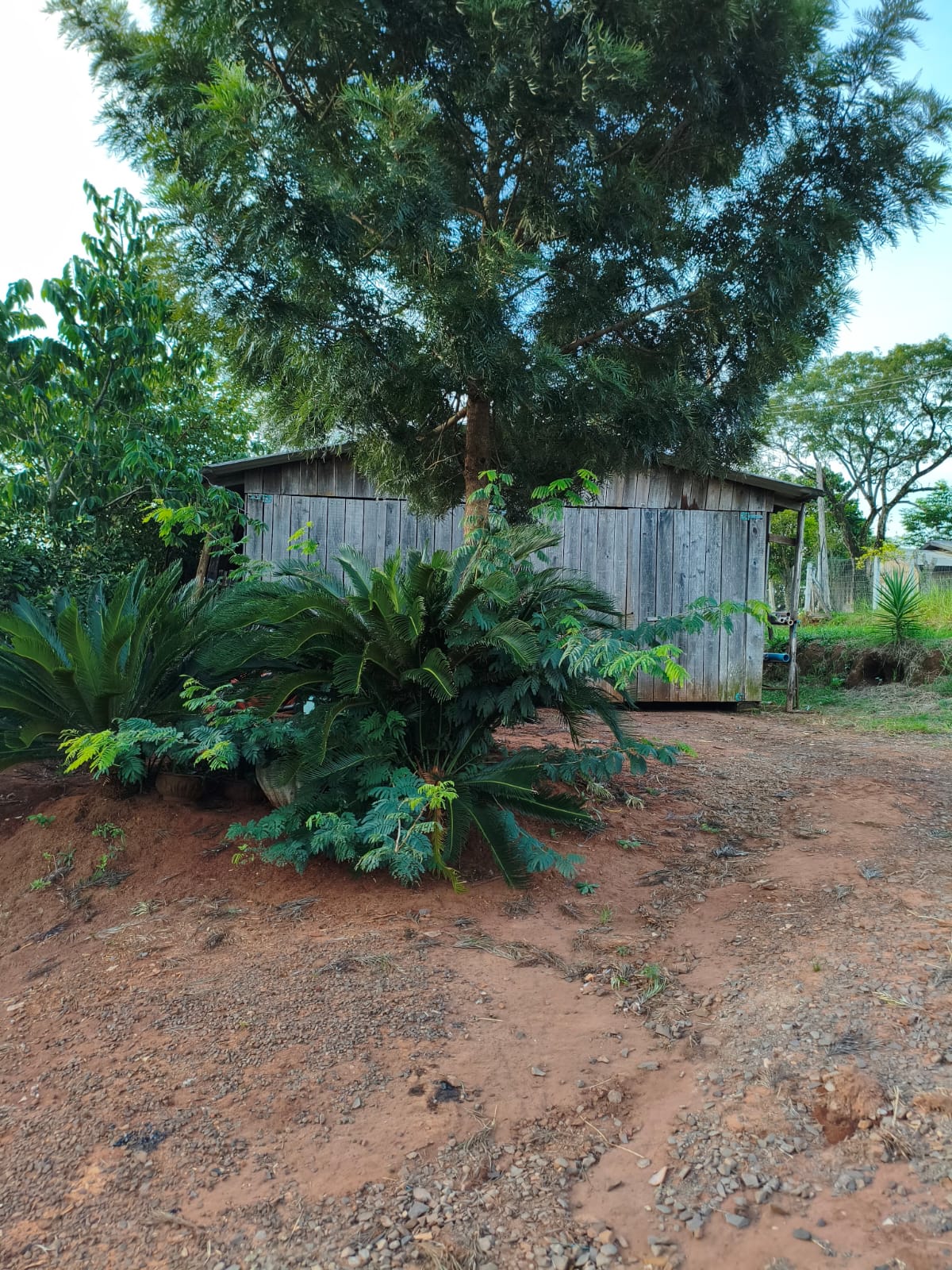 Chácara em Portão
