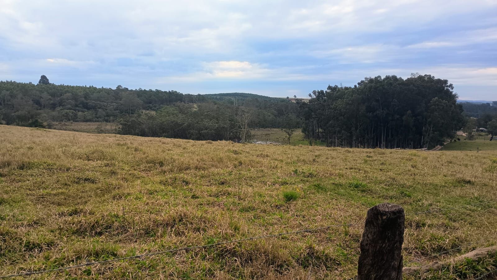 Terreno em Portão