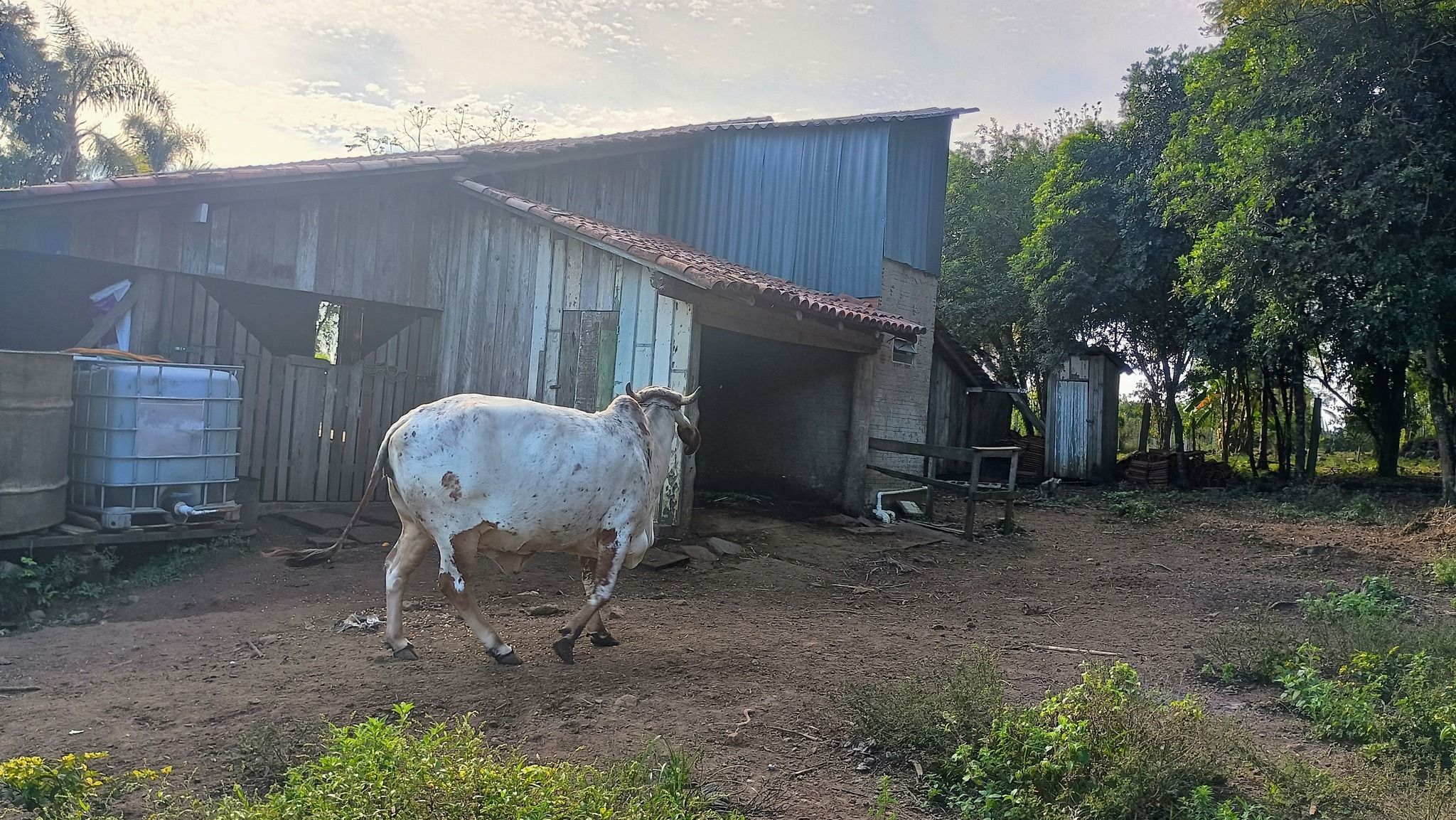 Sítio Escriturado em Estância Velha/RS