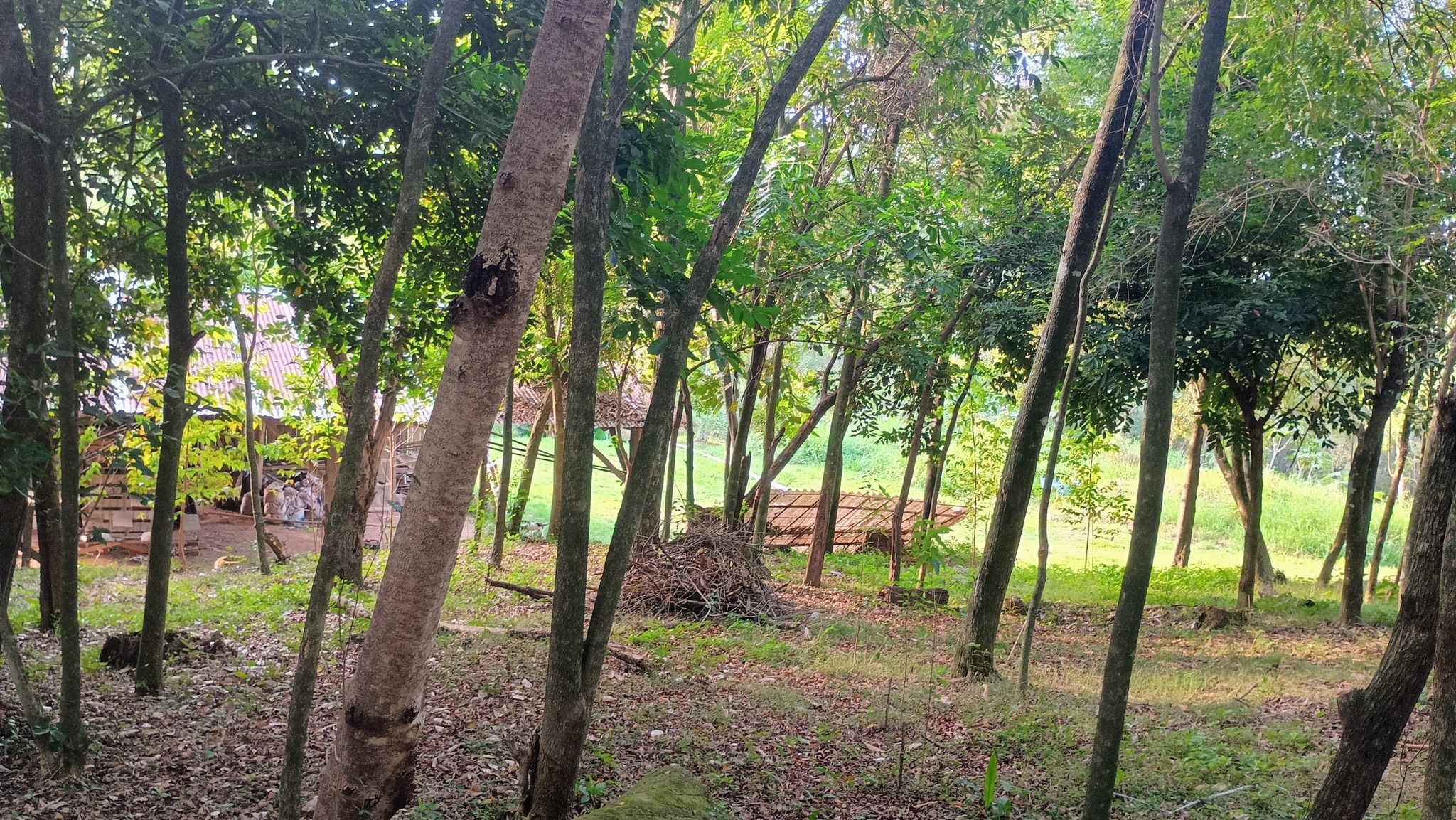 Área de terras em Estância Velha