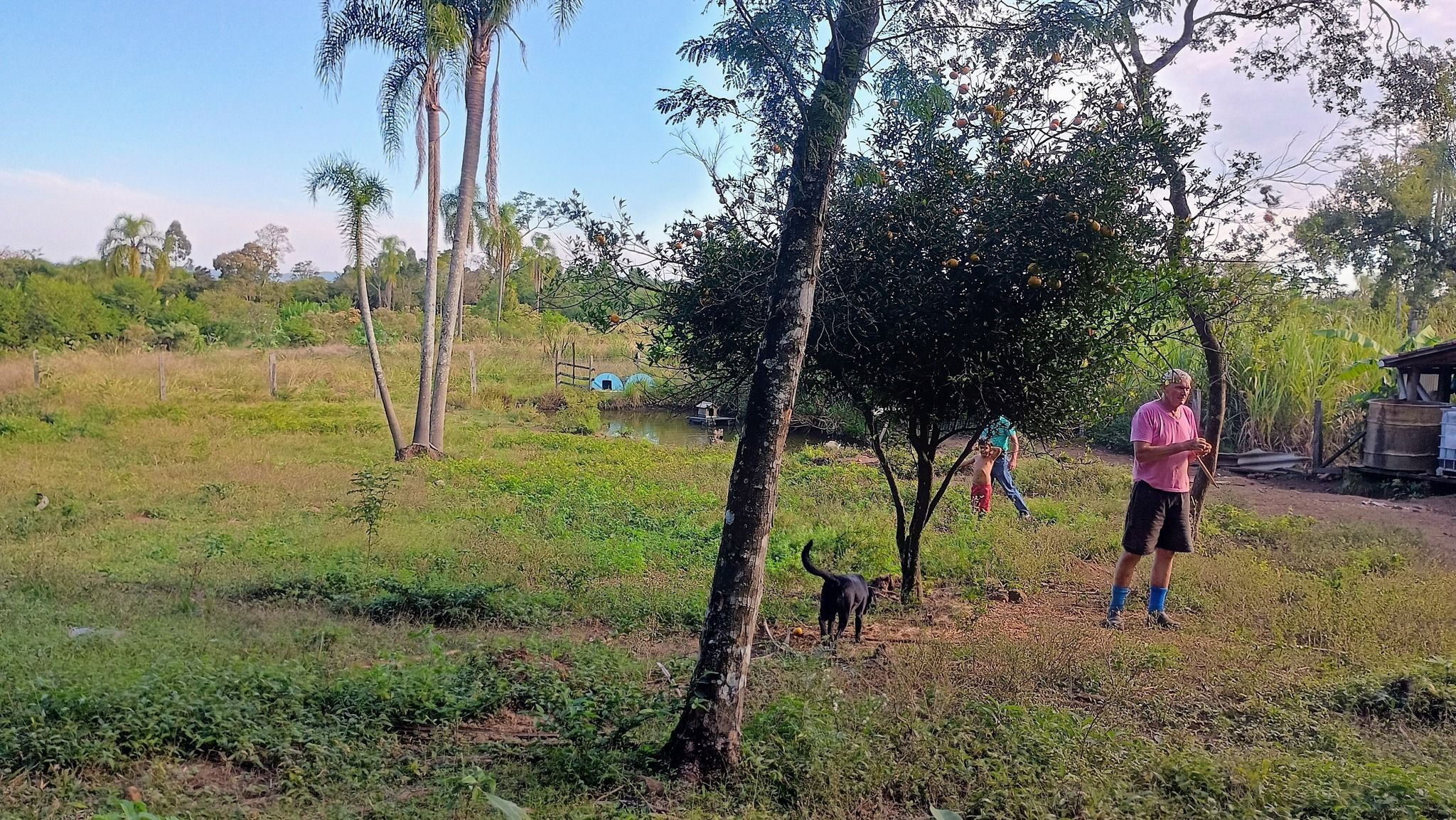 Sítio Escriturado em Estância Velha/RS