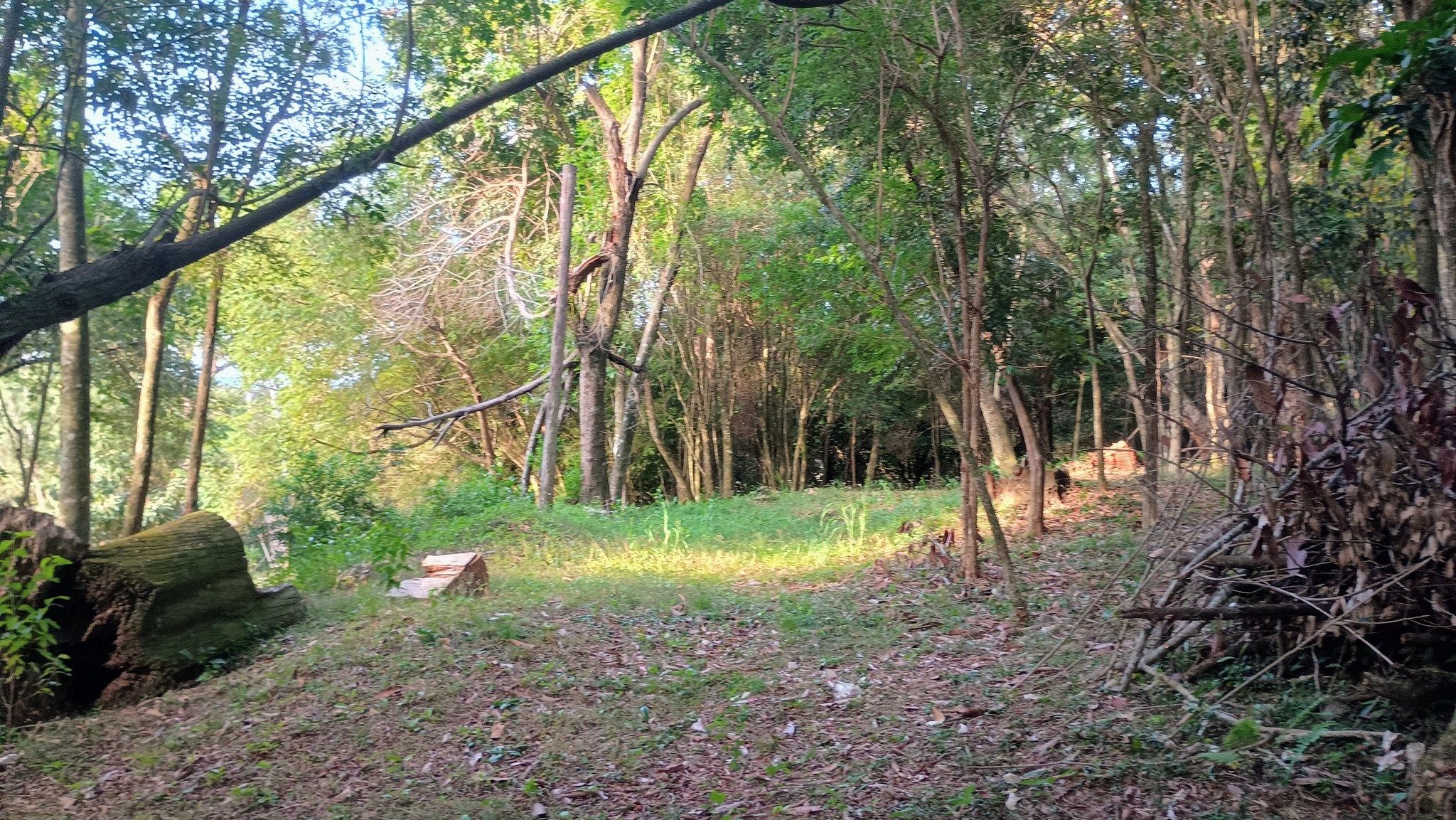 Área de terras em Estância Velha