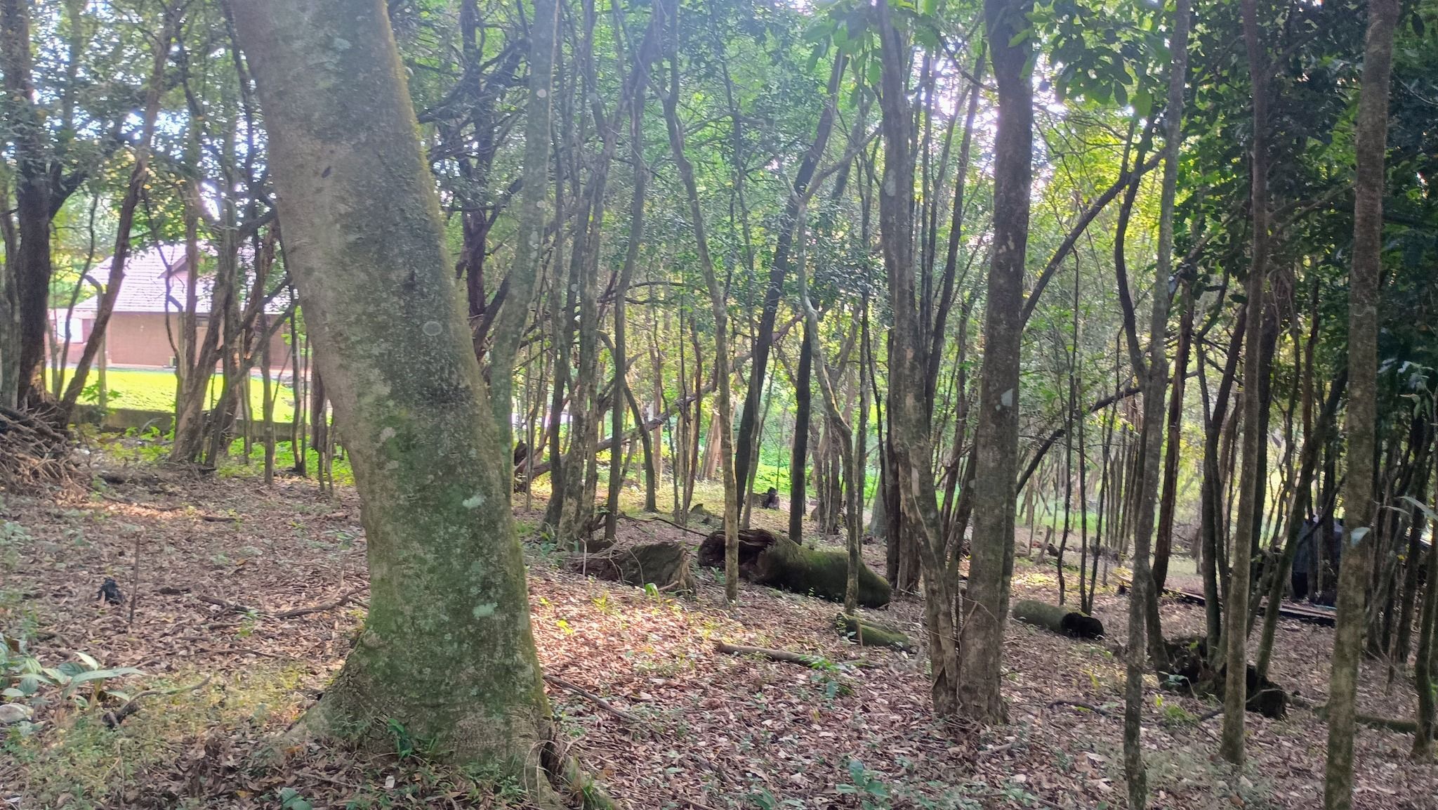 Área de terras em Estância Velha