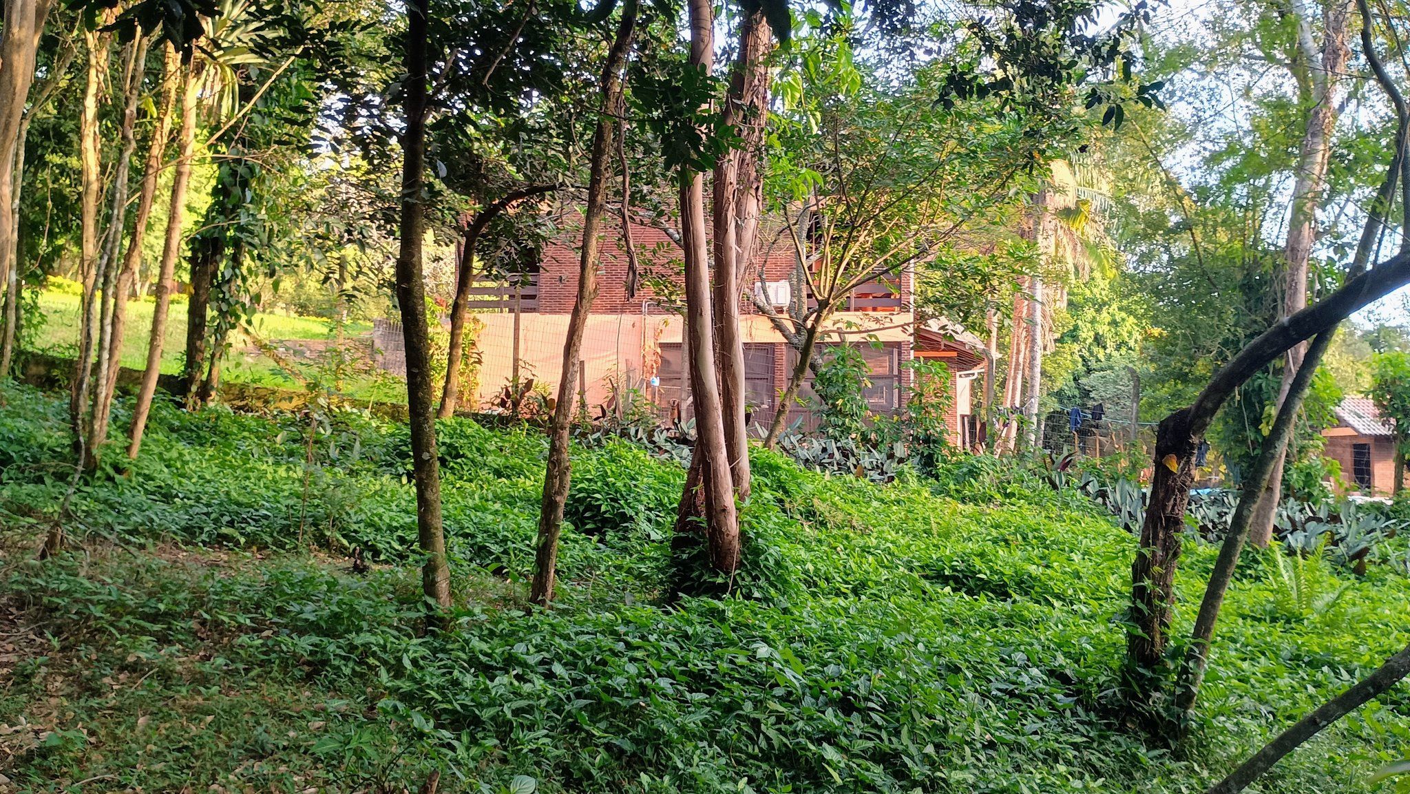 Área de terras em Estância Velha