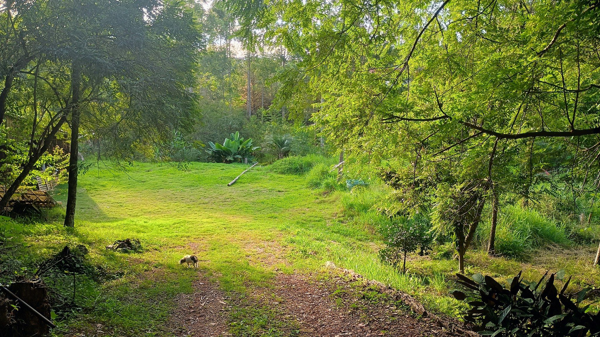 Área de terras em Estância Velha