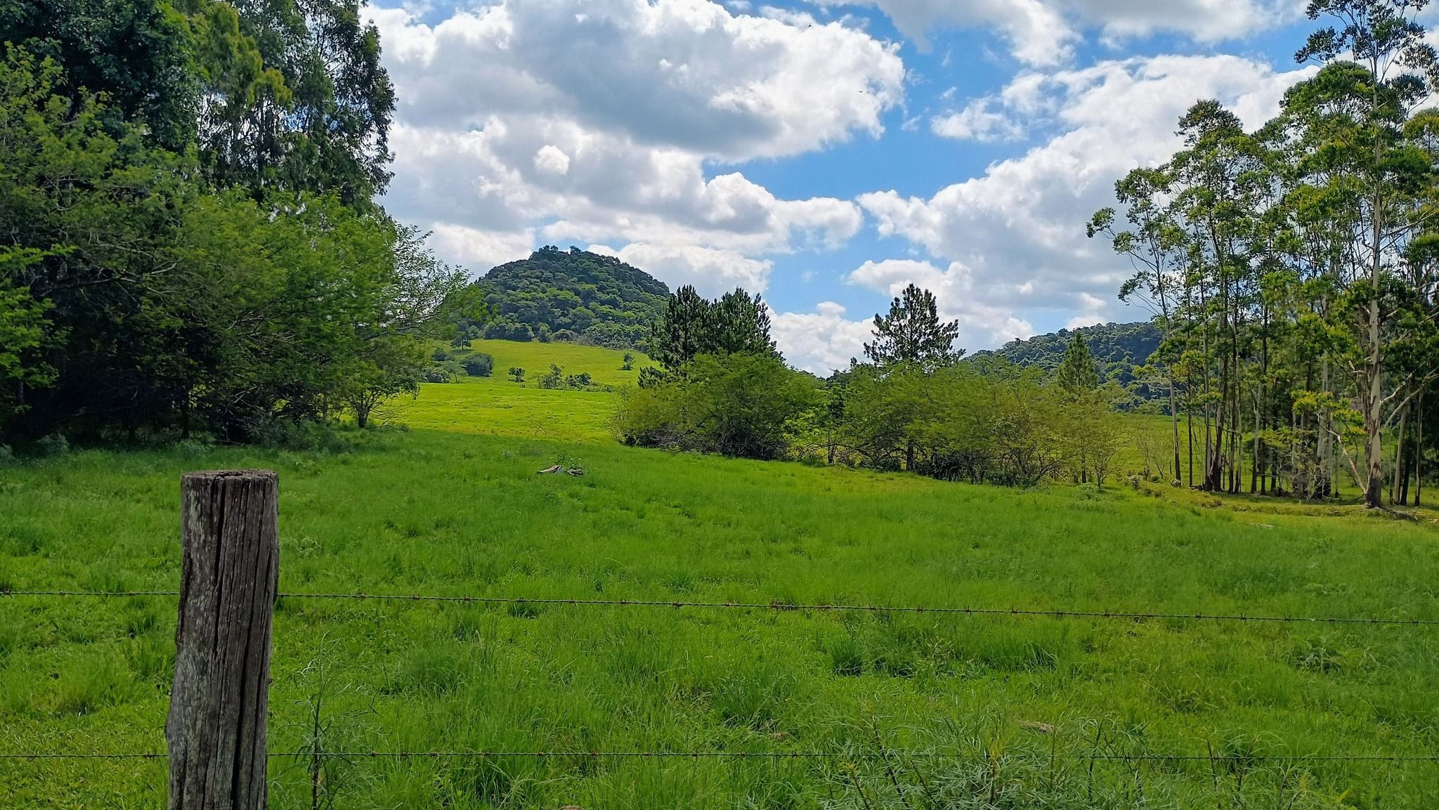 Área de terras em Capela de Santana