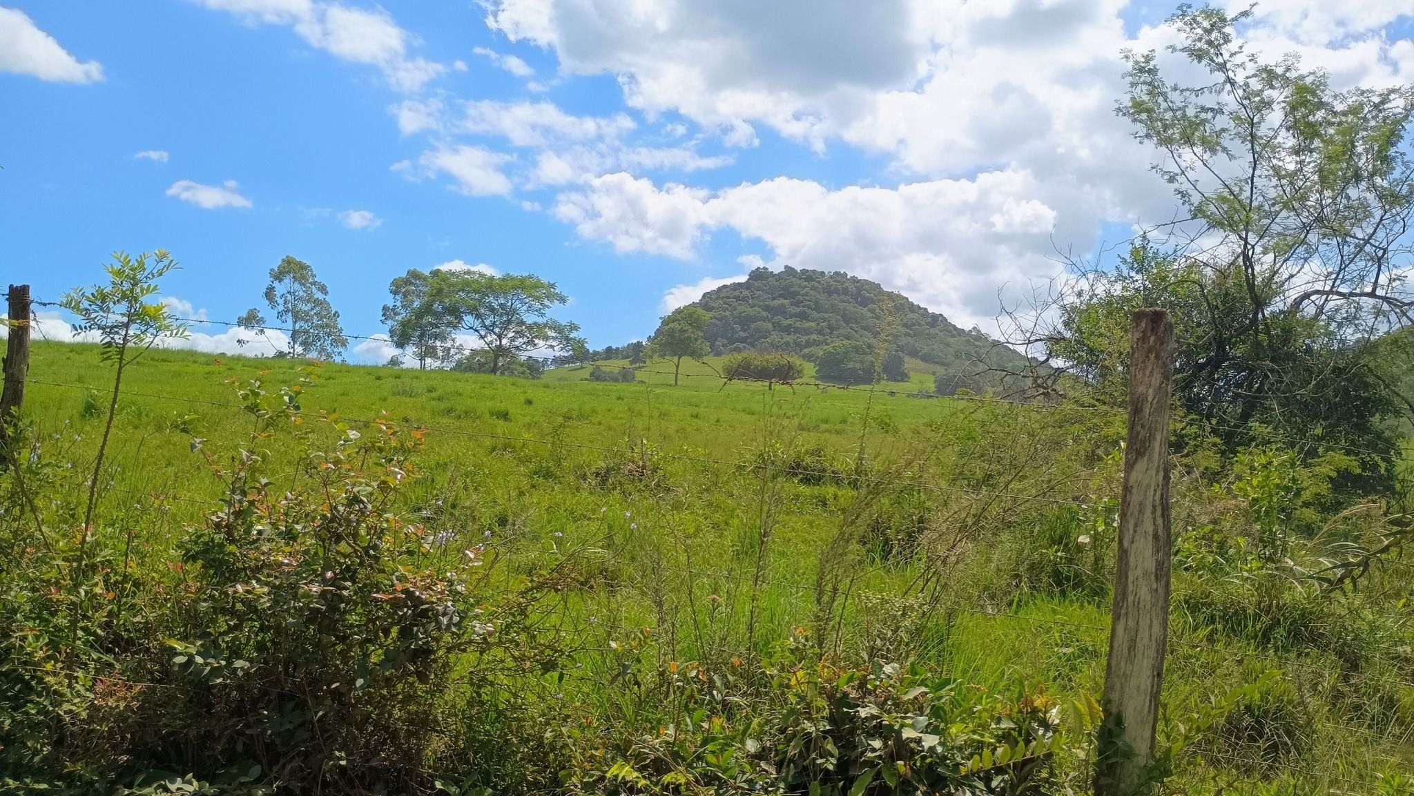 Área de terras em Capela de Santana