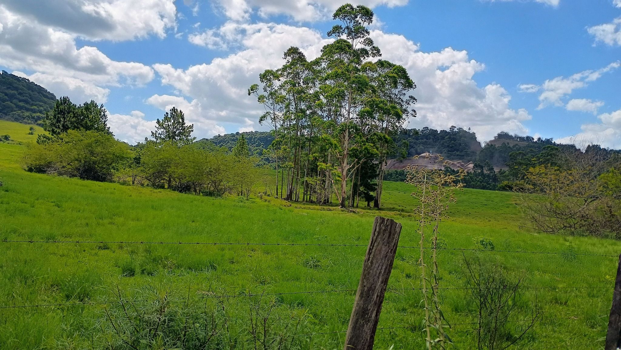 Área de terras em Capela de Santana