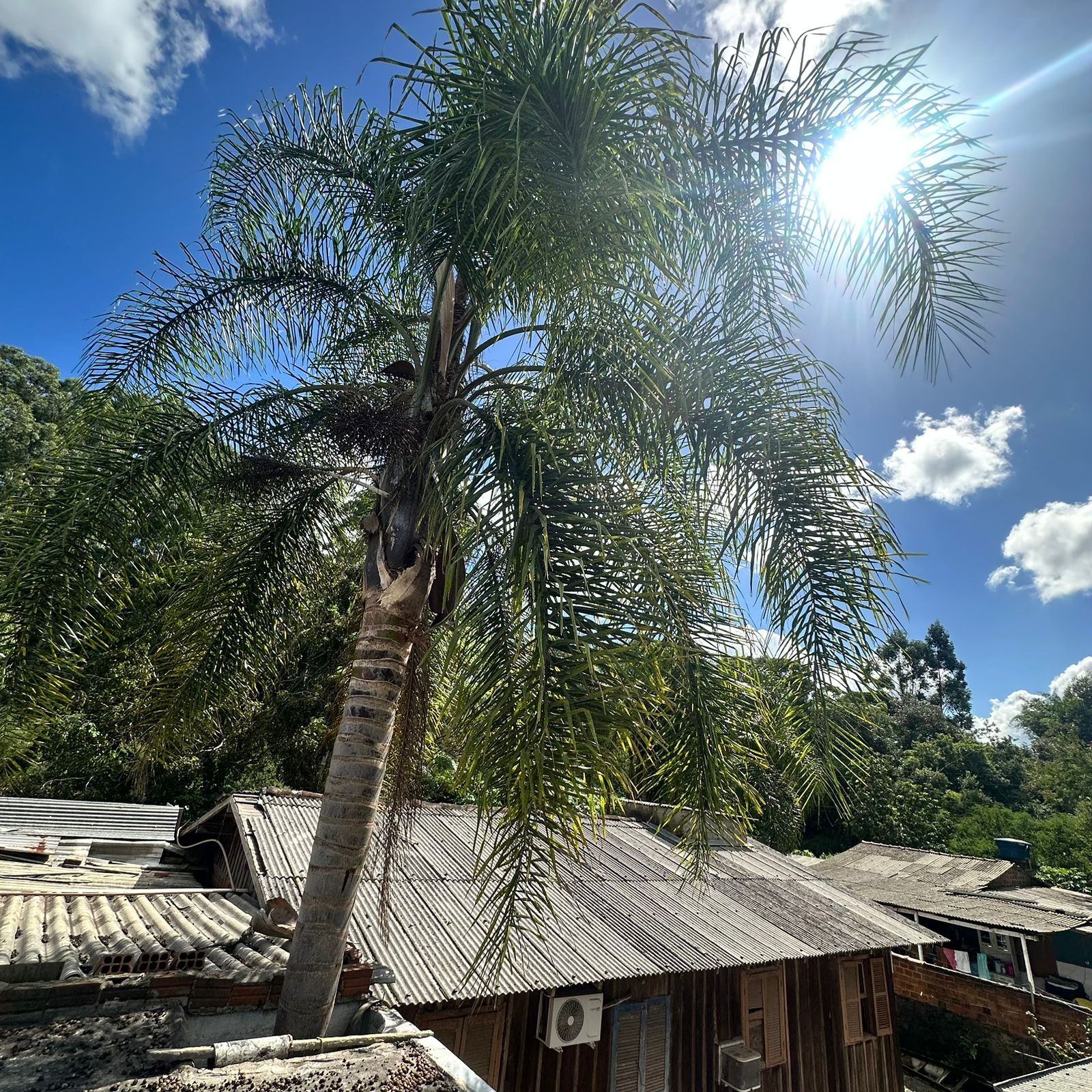 Casa em Portão