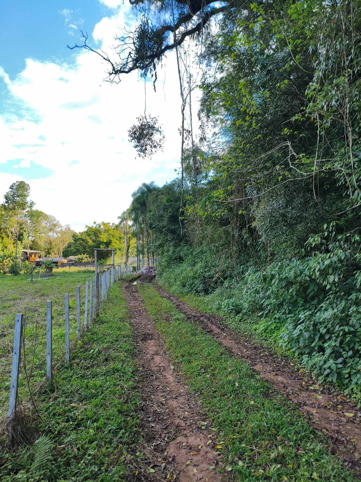 Chácara em Estância Velha