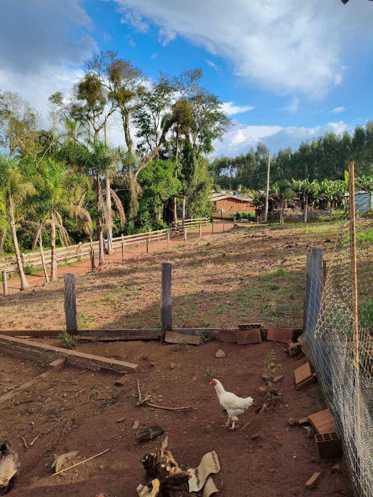 Chácara com duas casas em Estância Velha
