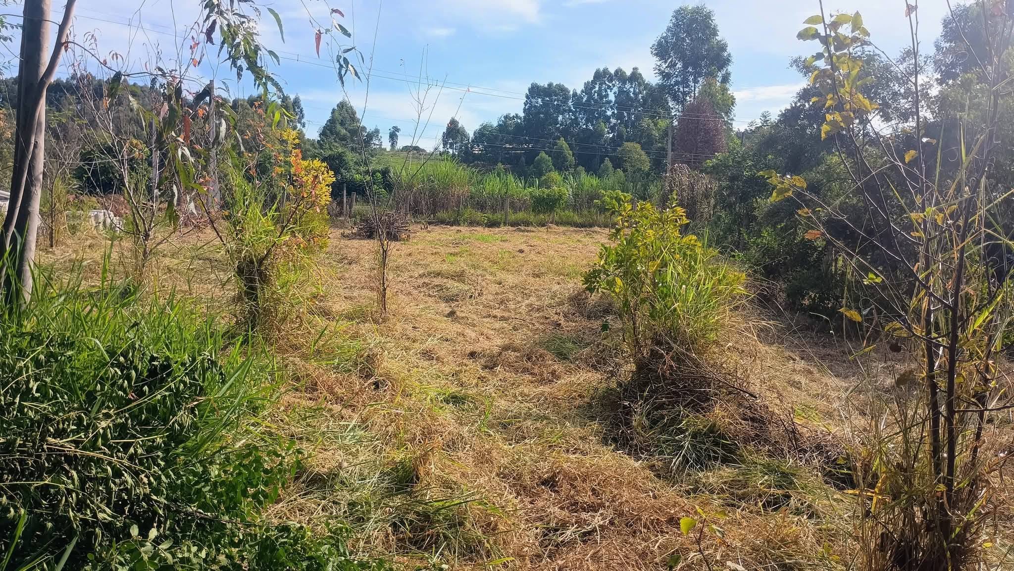 Chácara em Portão