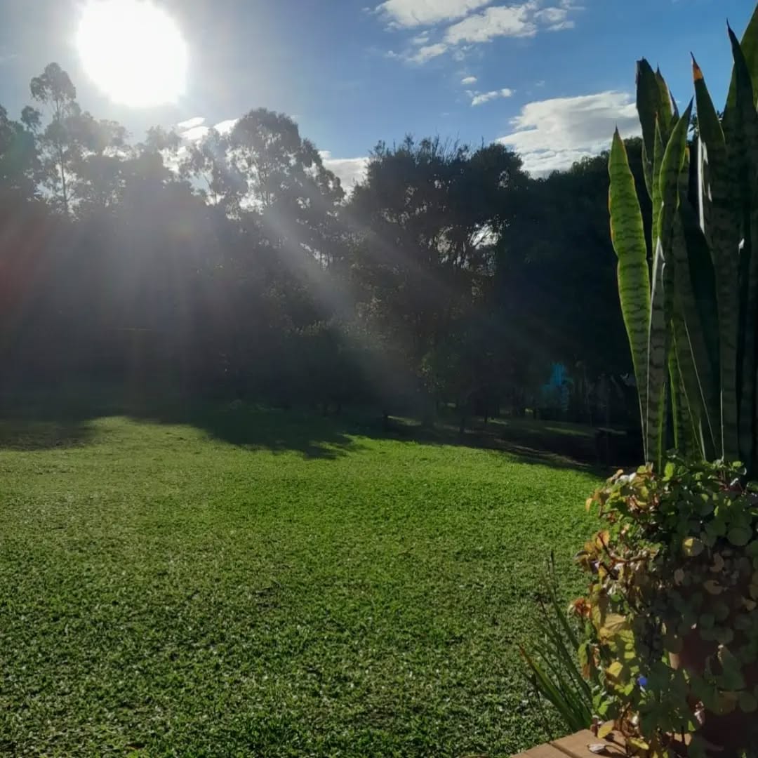 Sítio no Centro de Portão