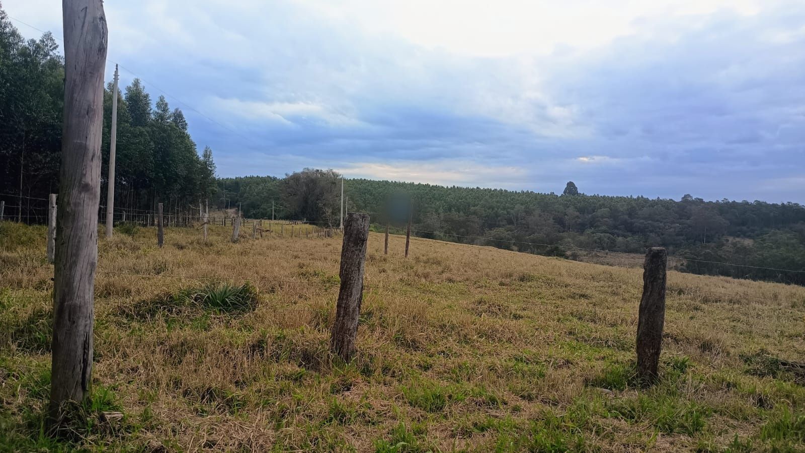Terreno em Portão