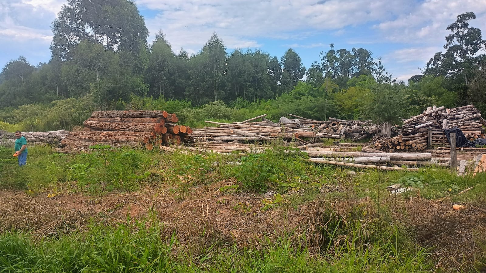 Excelente terreno comercial em Portão (RS-122)