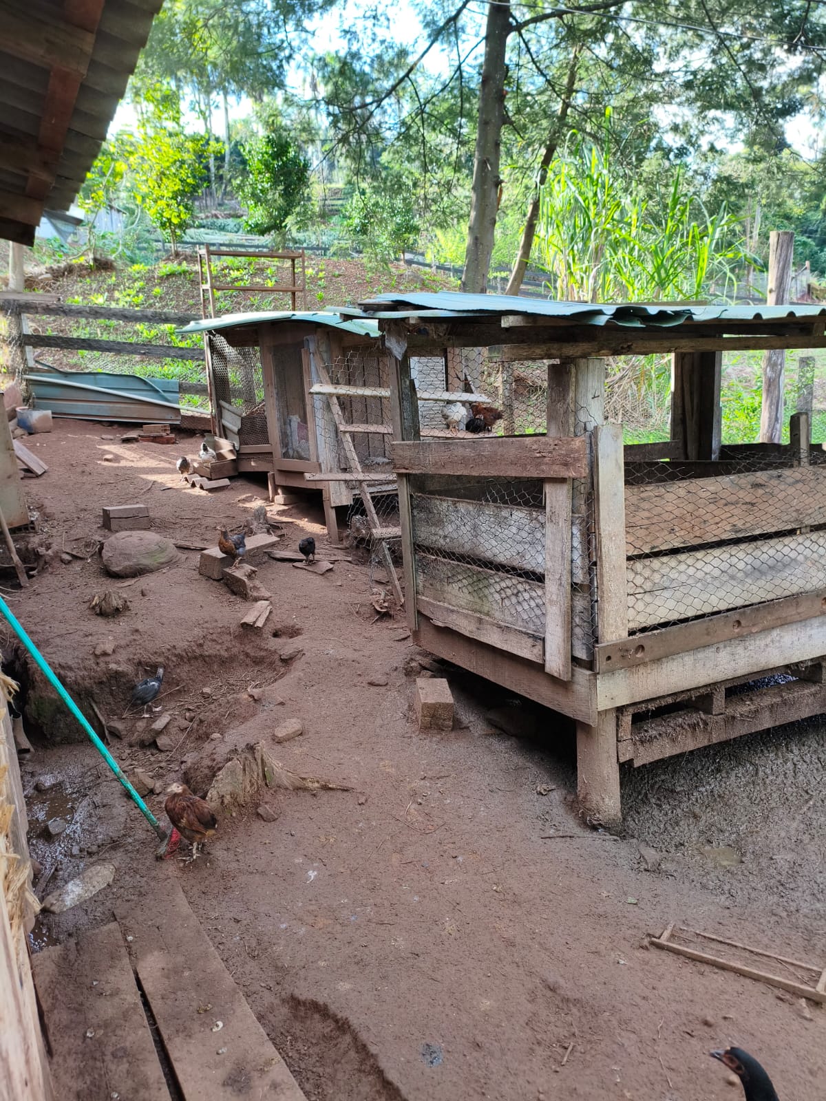 Chácara com duas casas em Estância Velha