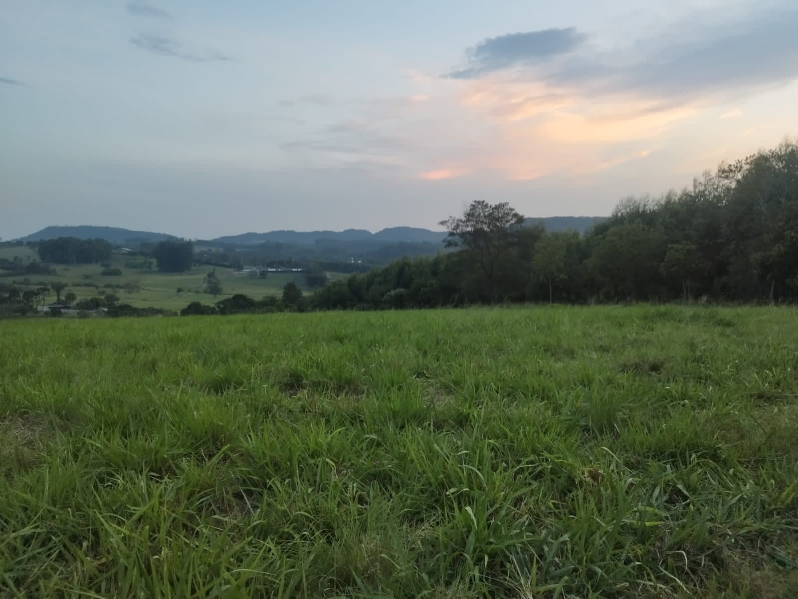 Área de terra em Capela de Santana