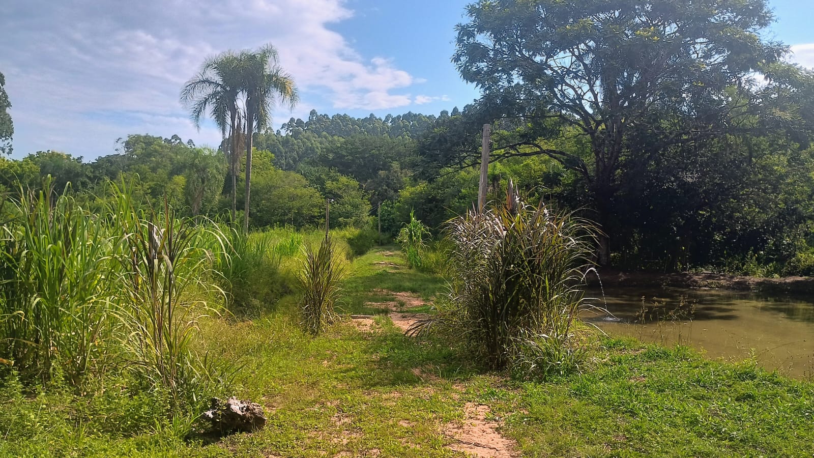 Excelente terreno comercial em Portão (RS-122)