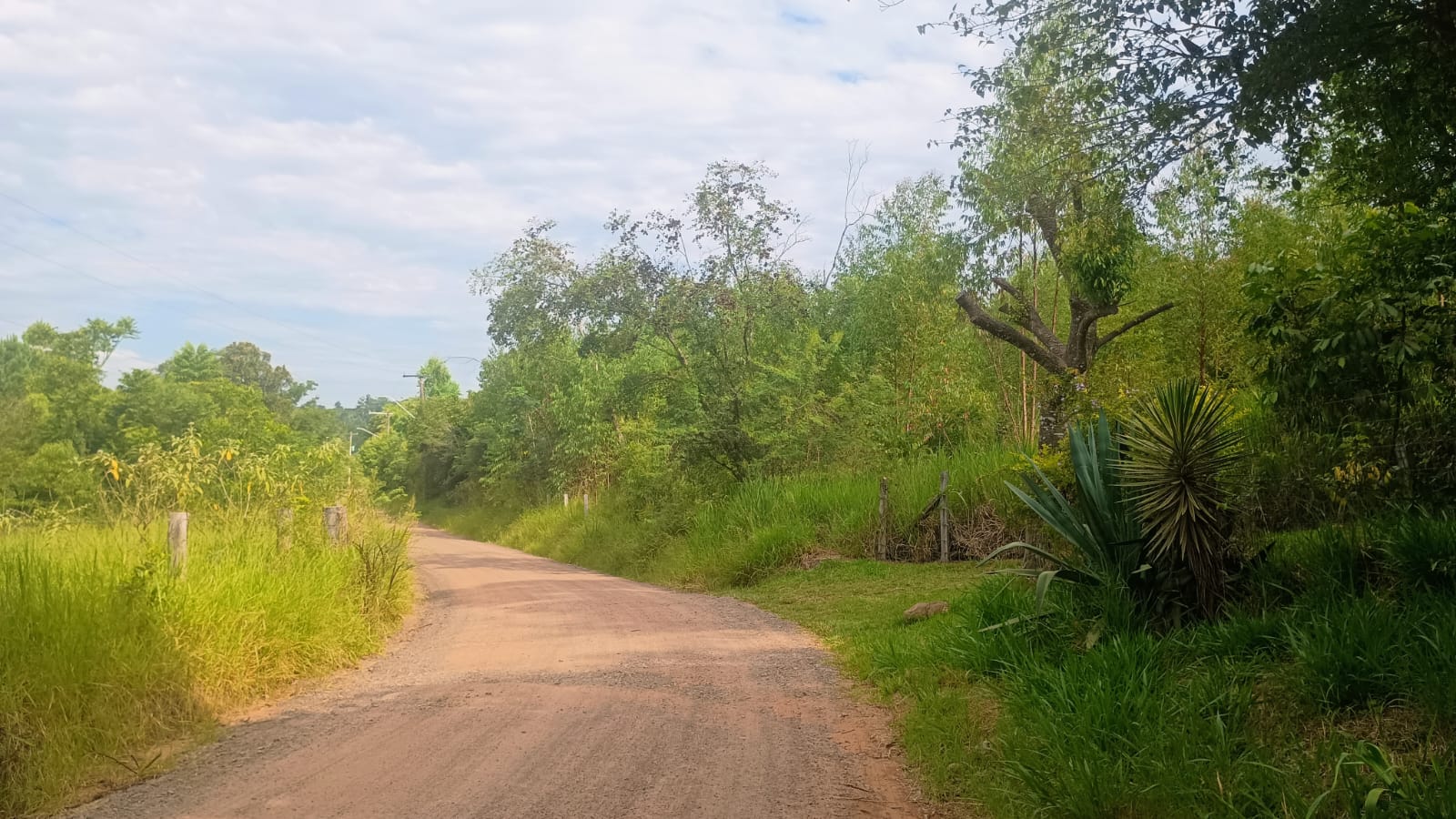 Excelente terreno comercial em Portão (RS-122)