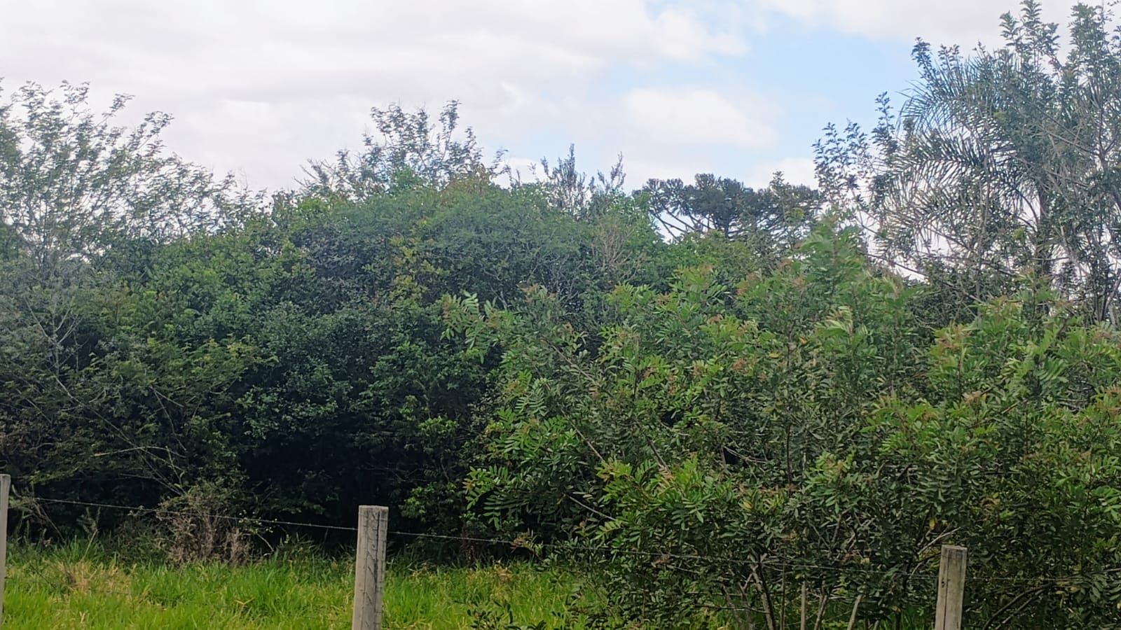 Terreno em Nova Santa Rita