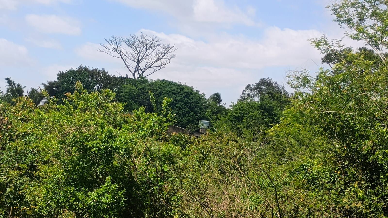 Terreno em Nova Santa Rita