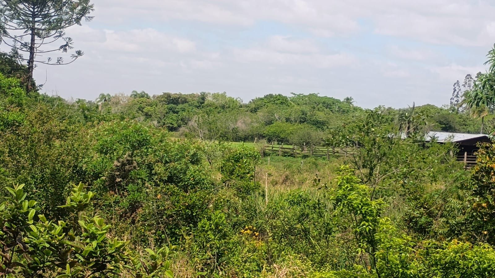 Terreno em Nova Santa Rita