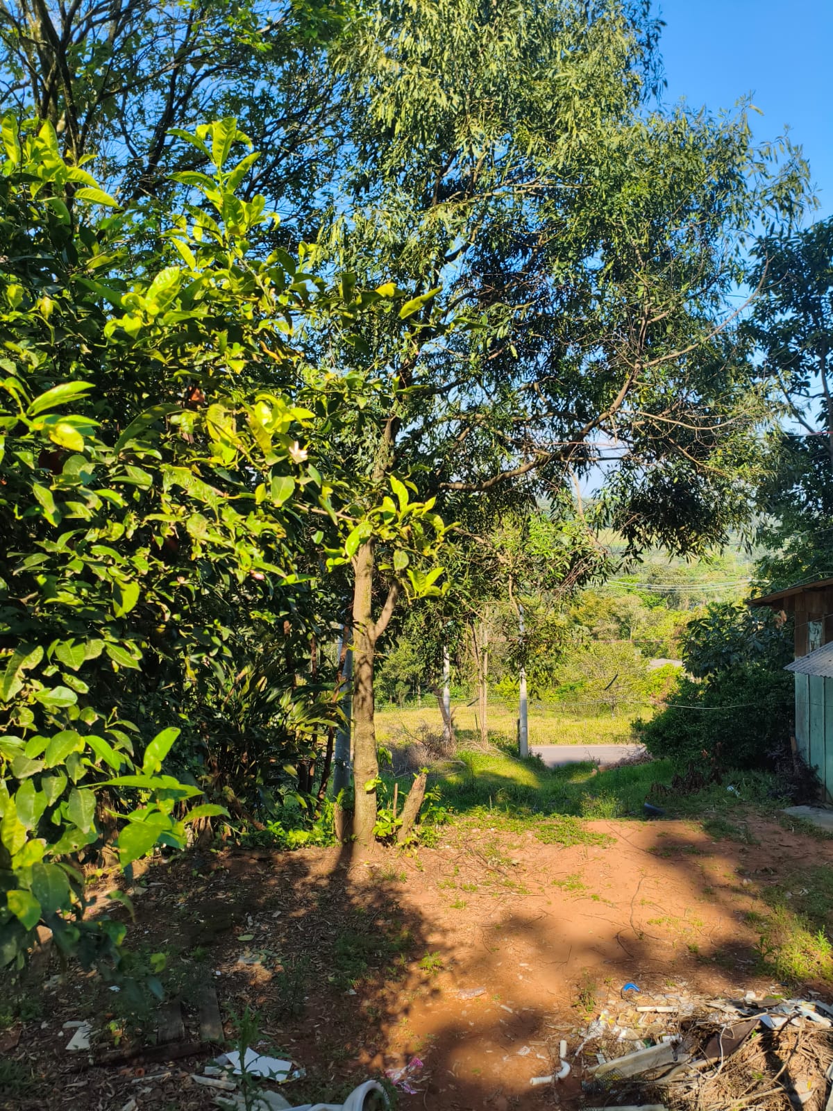 Terreno Rural em Portão