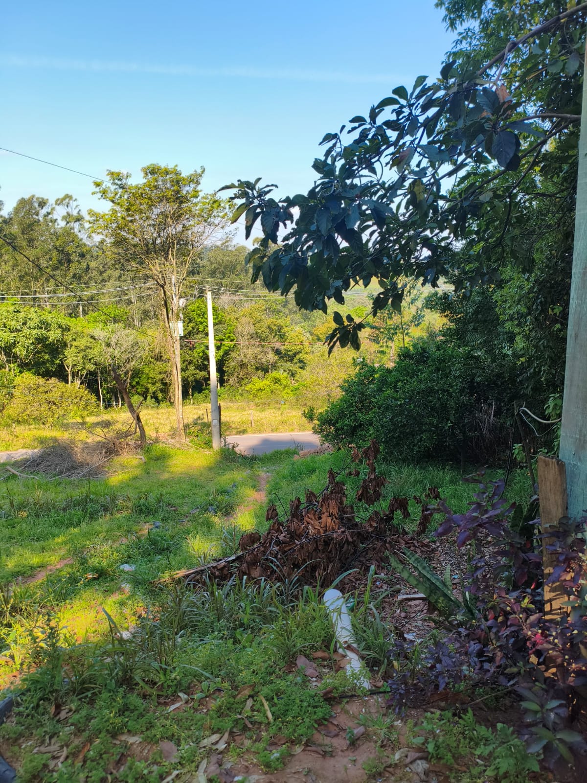 Terreno Rural em Portão