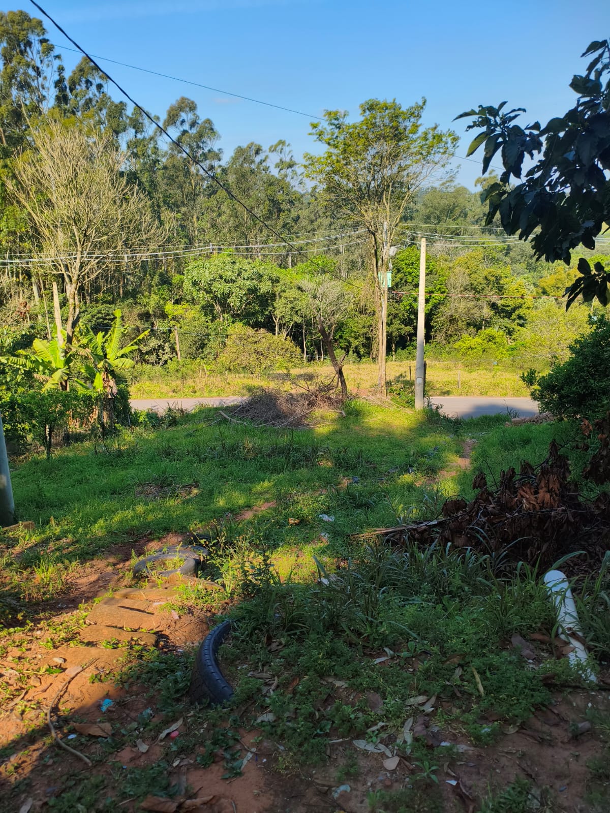 Terreno Rural em Portão