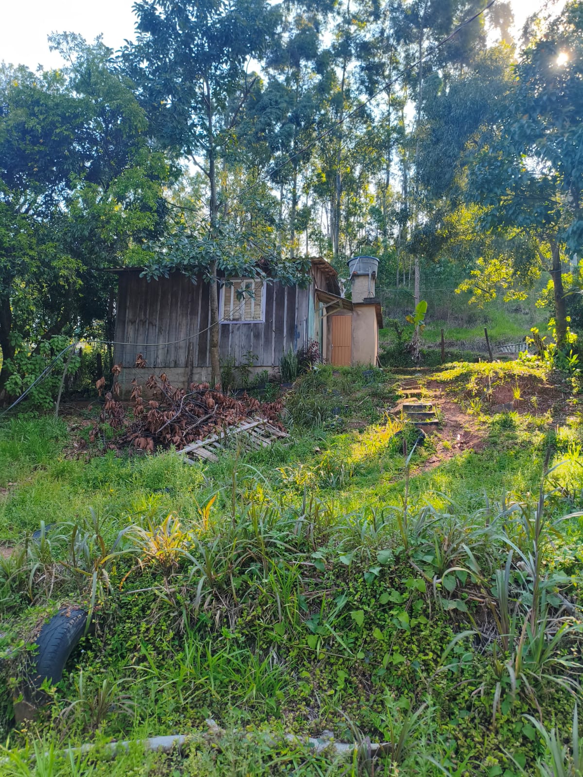 Terreno Rural em Portão