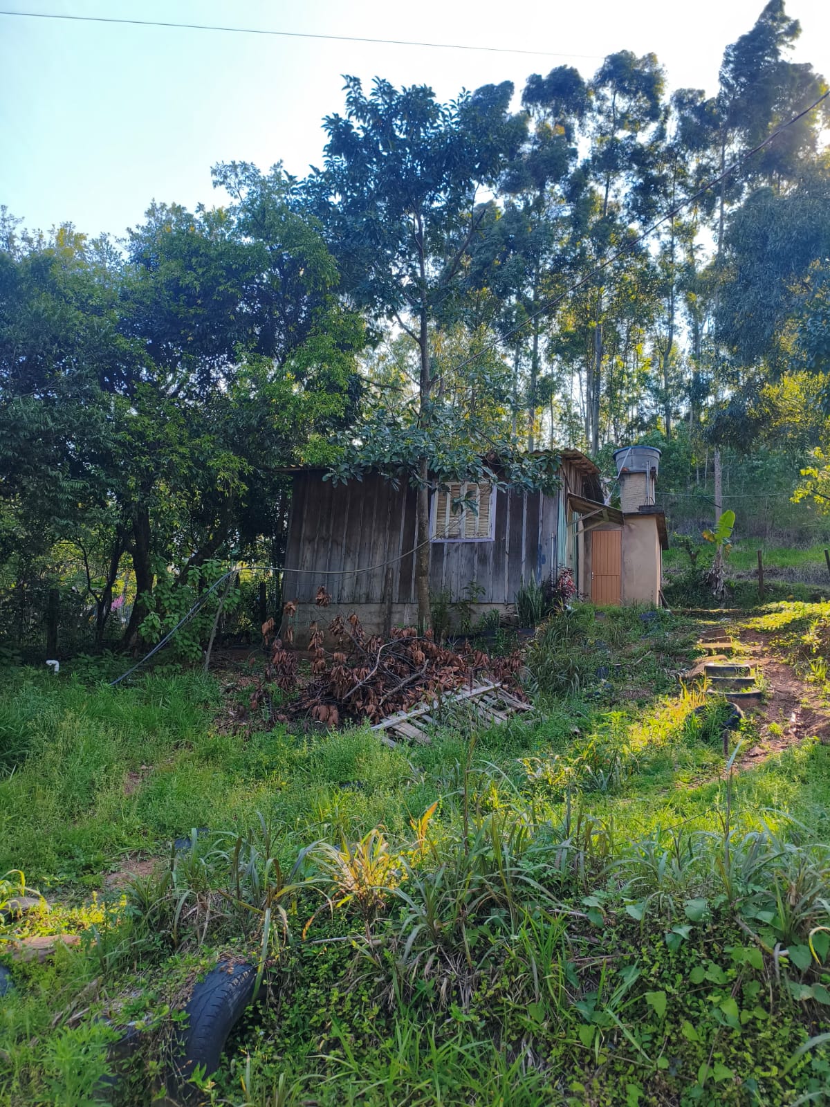 Terreno Rural em Portão