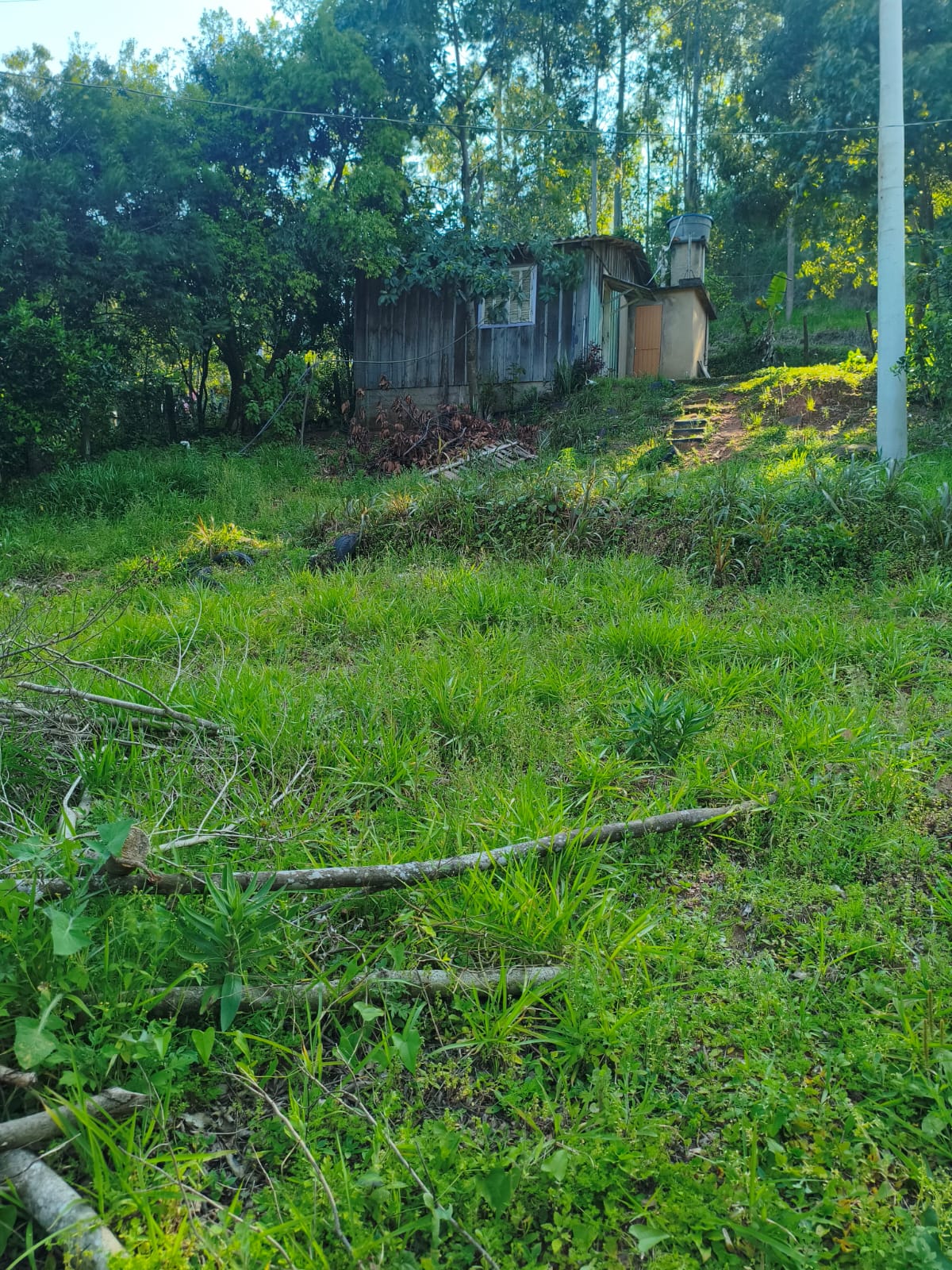 Terreno Rural em Portão
