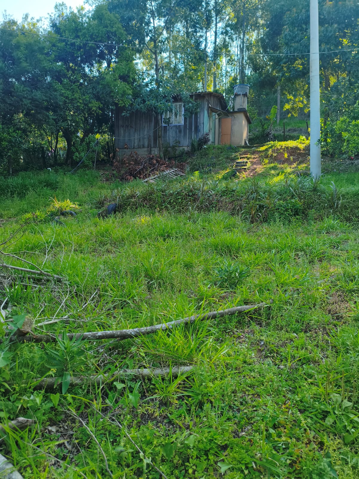 Terreno Rural em Portão
