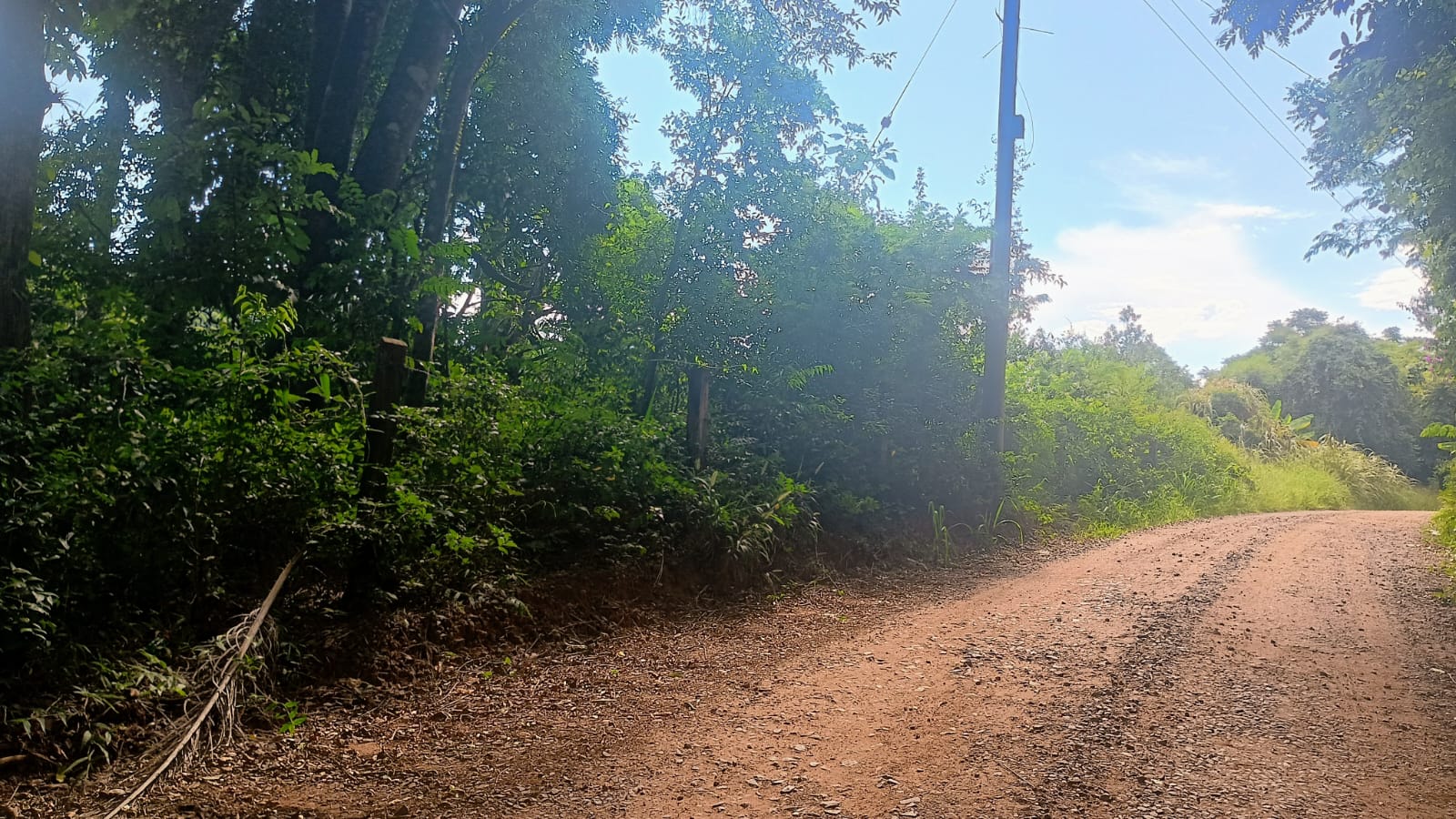 Excelente terreno comercial em Portão (RS-122)