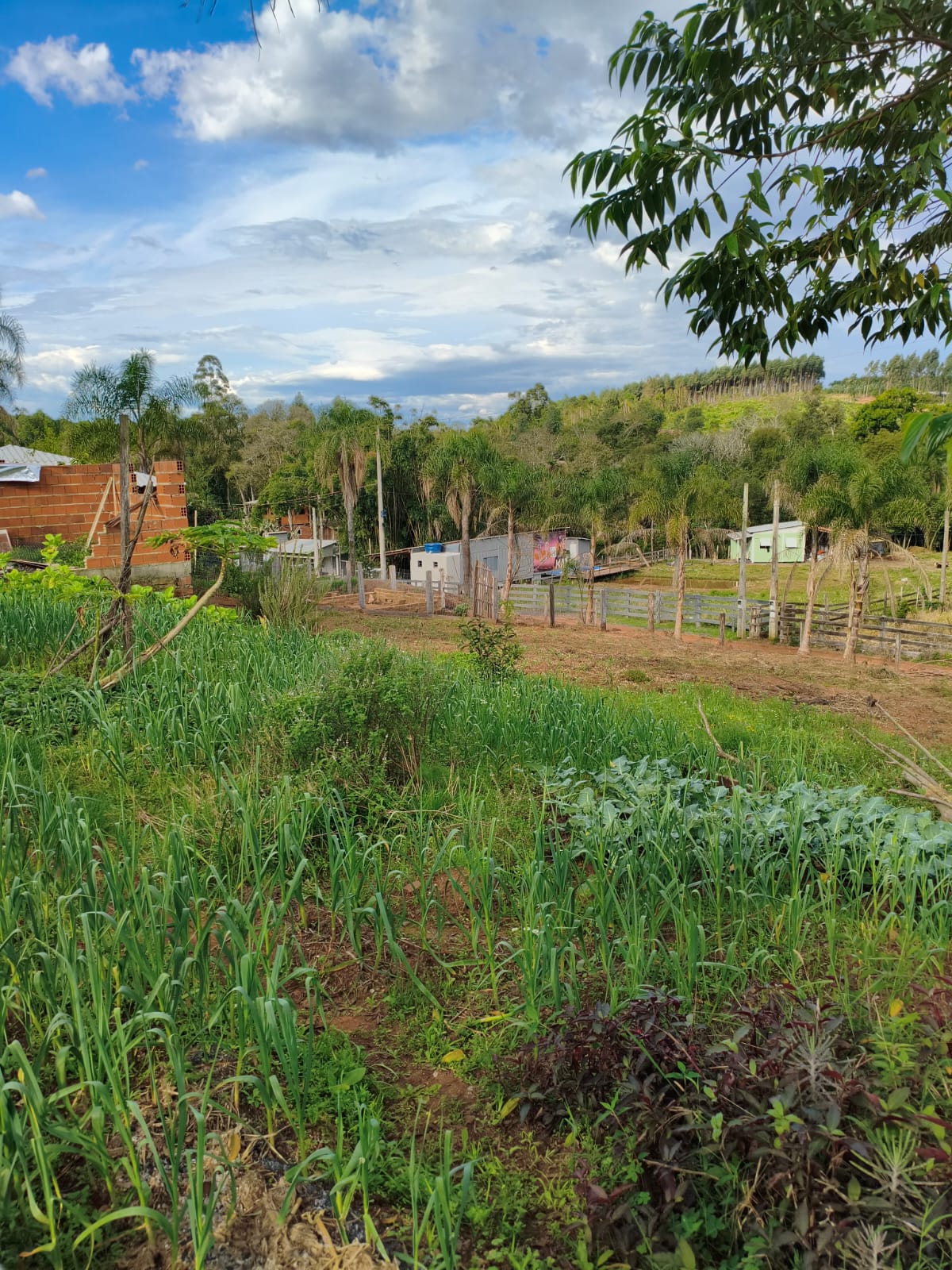 Chácara com duas casas em Estância Velha
