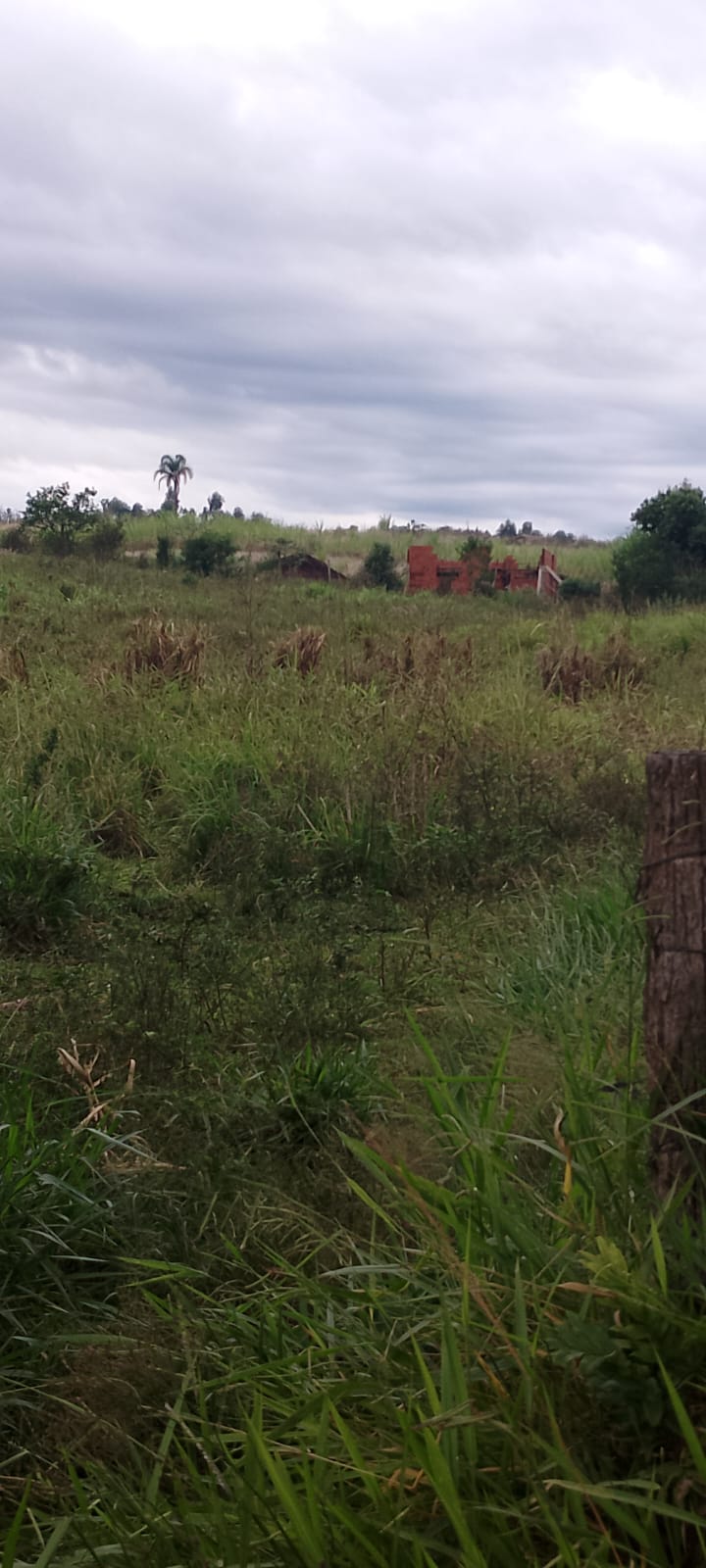 Terreno em Portão