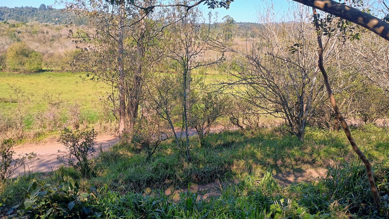 Chácara em Lindolfo Collor