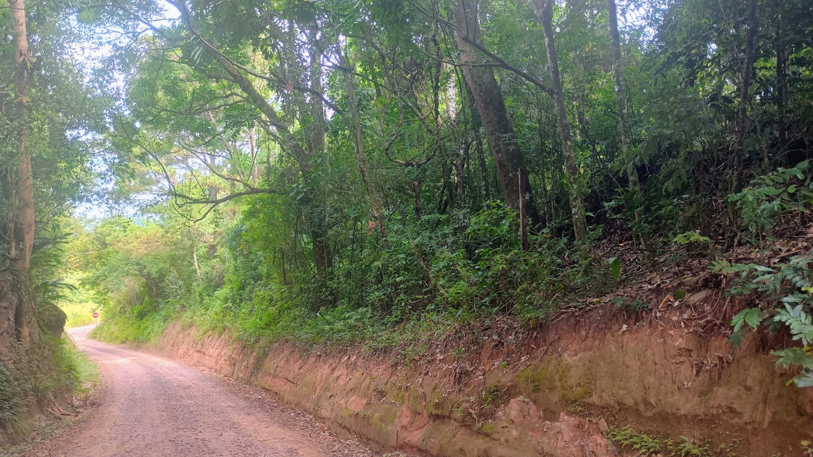 Excelente terreno comercial em Portão (RS-122)